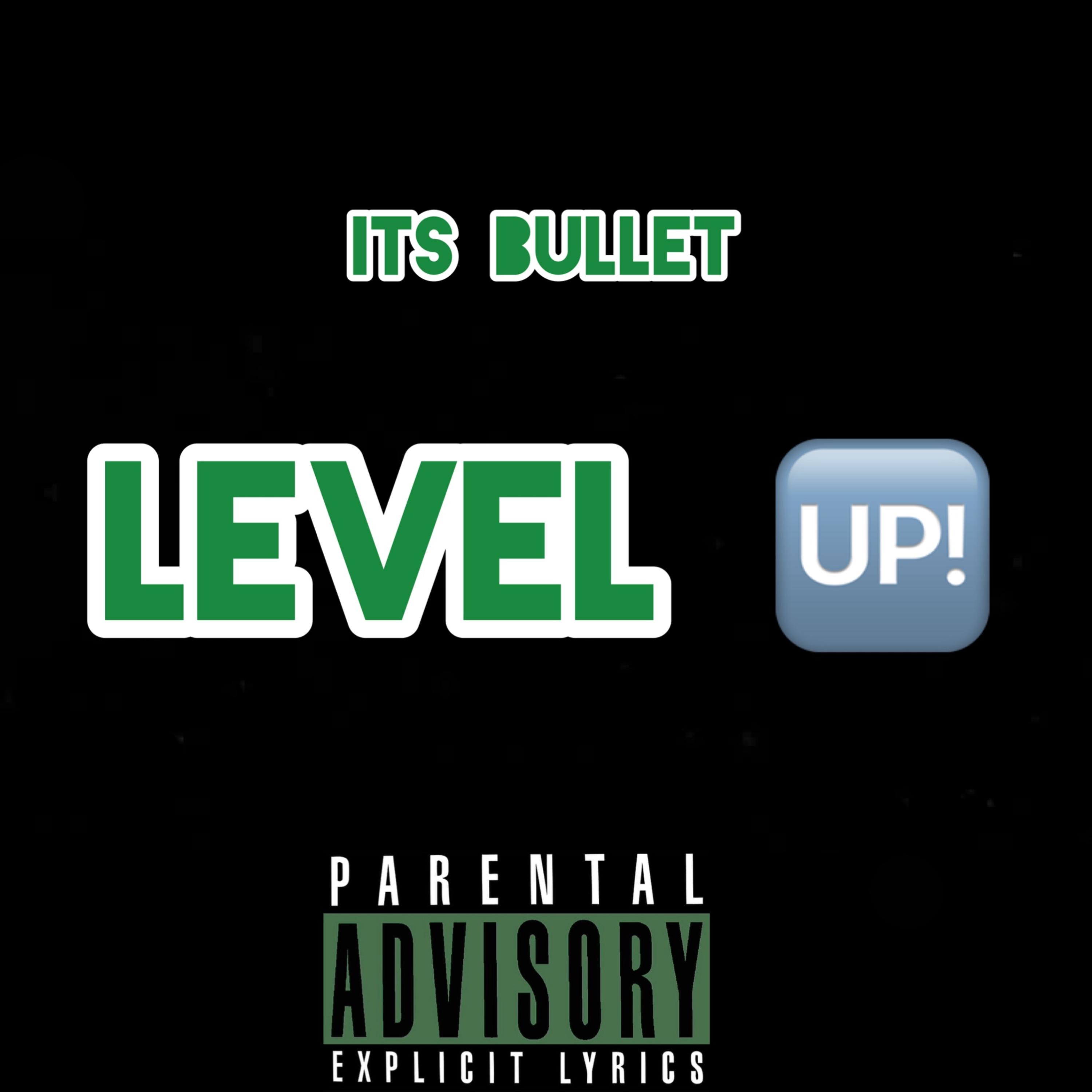 Level Up by Its Bullet cover art