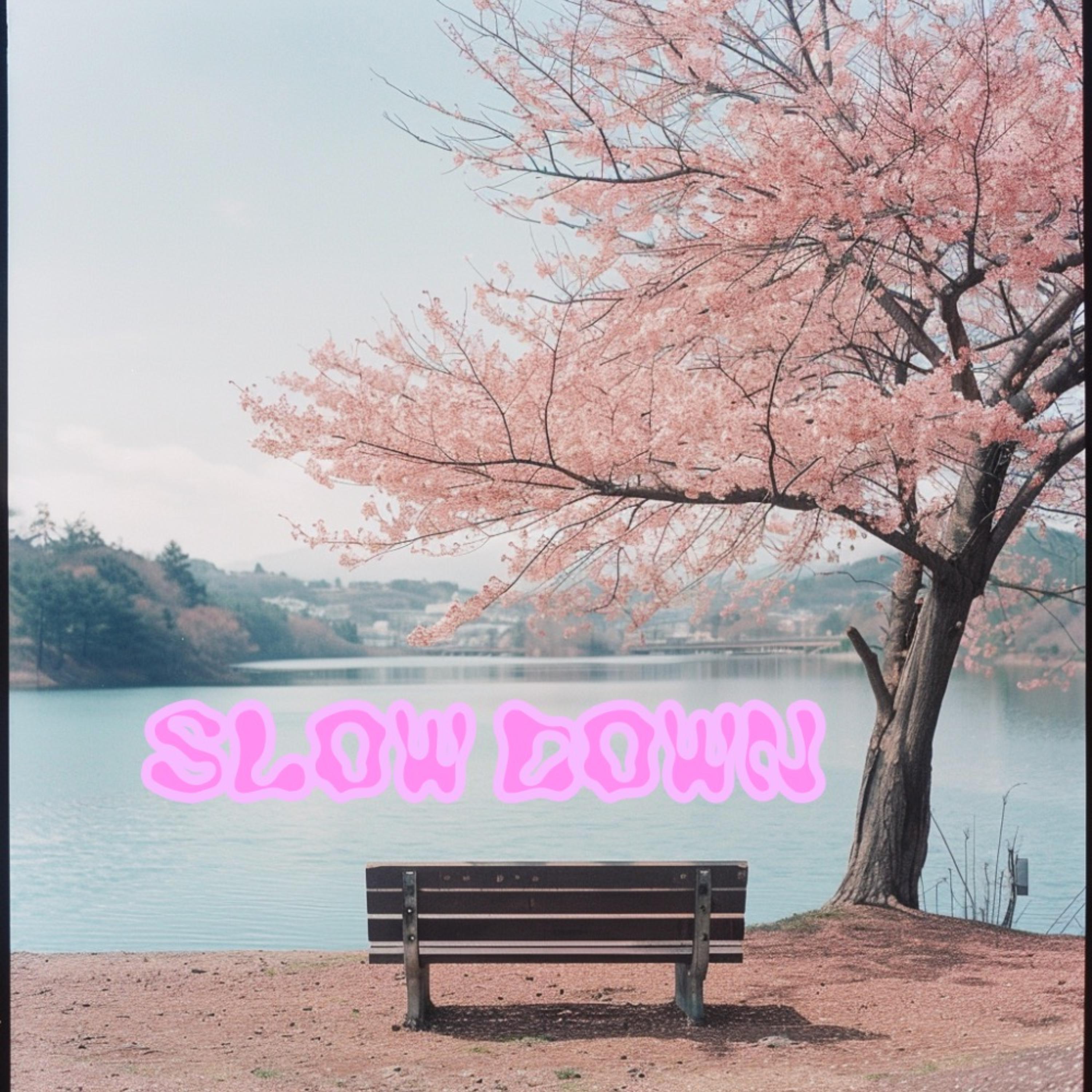 Slow Down artwork