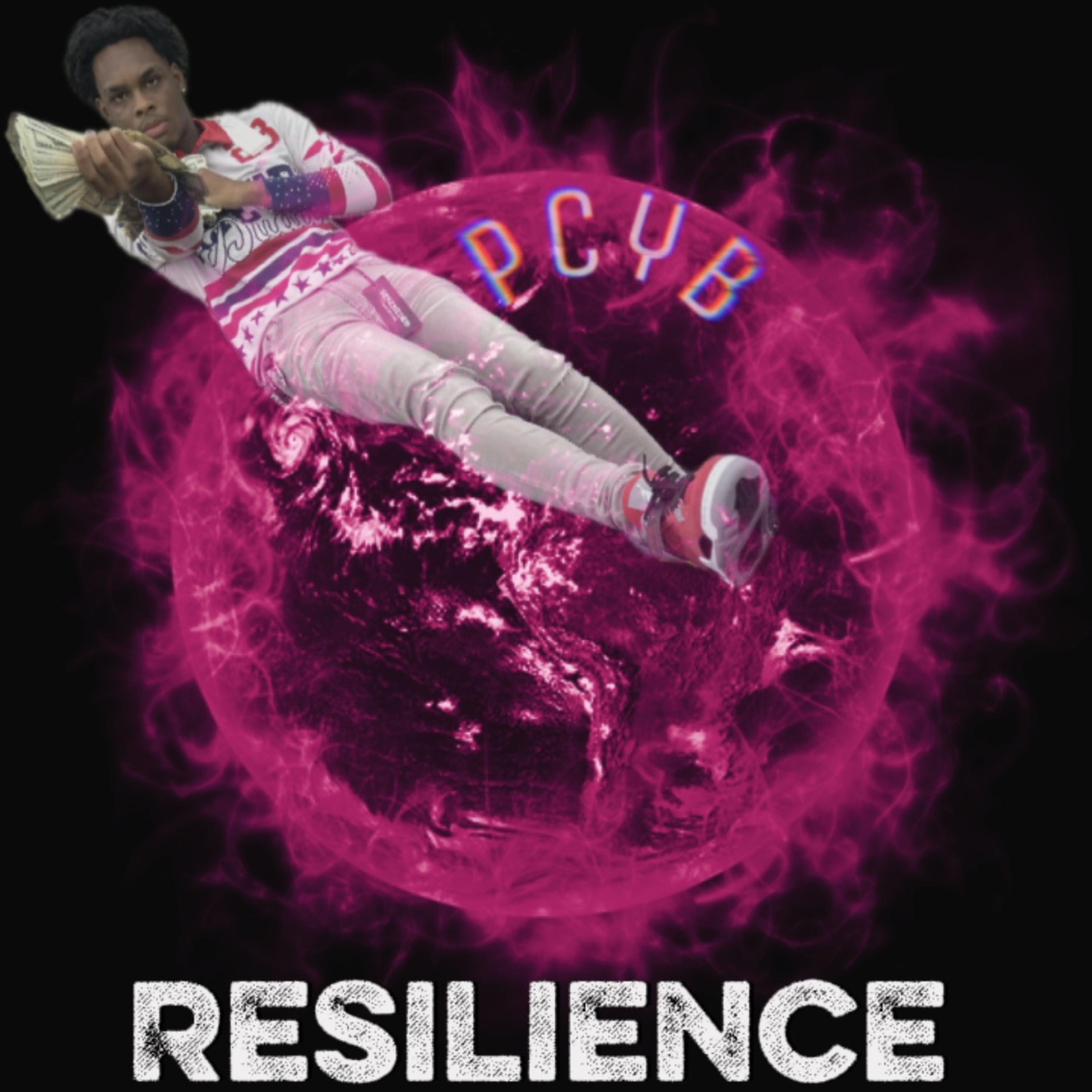 Resilience by PcyB cover art
