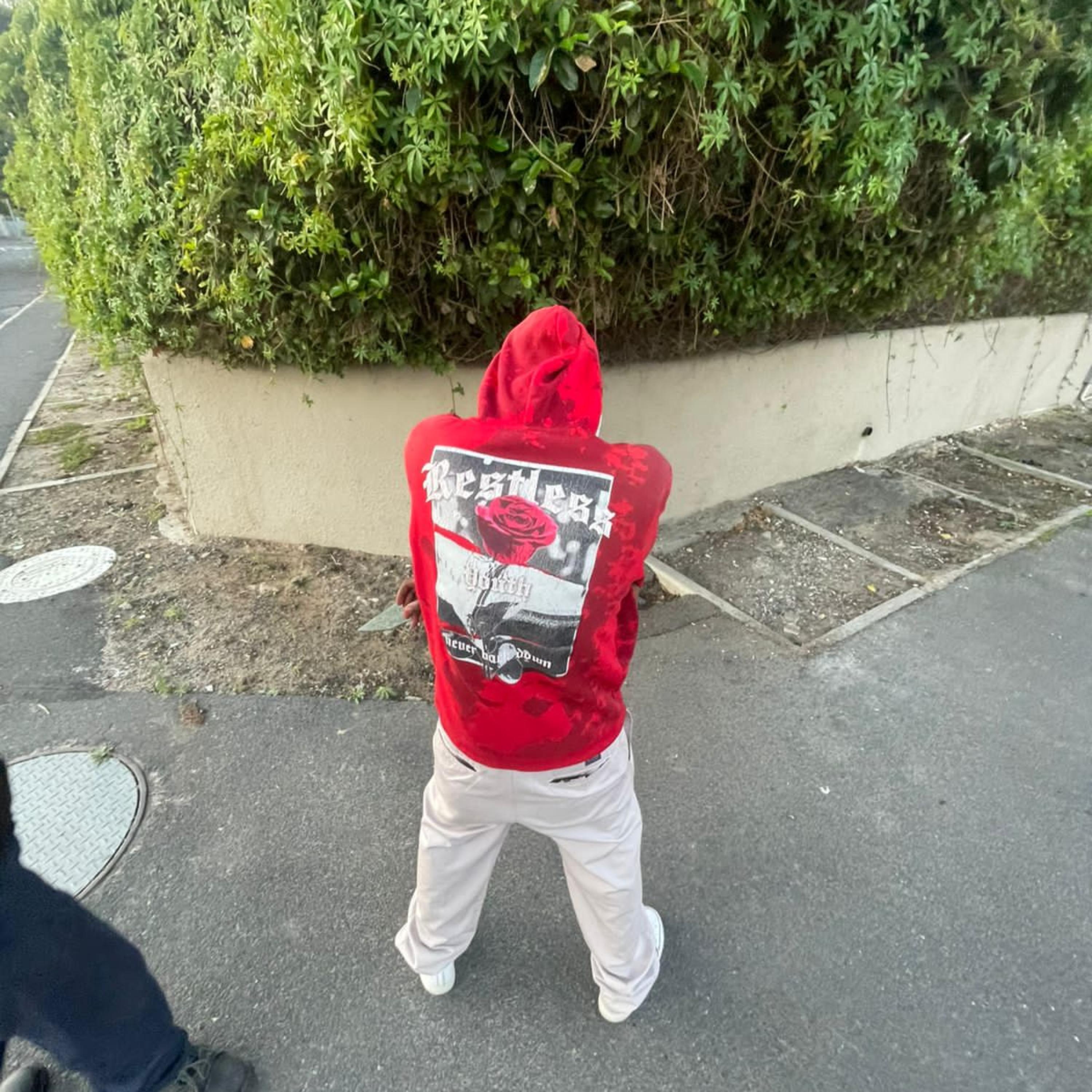 she got dipper artwork