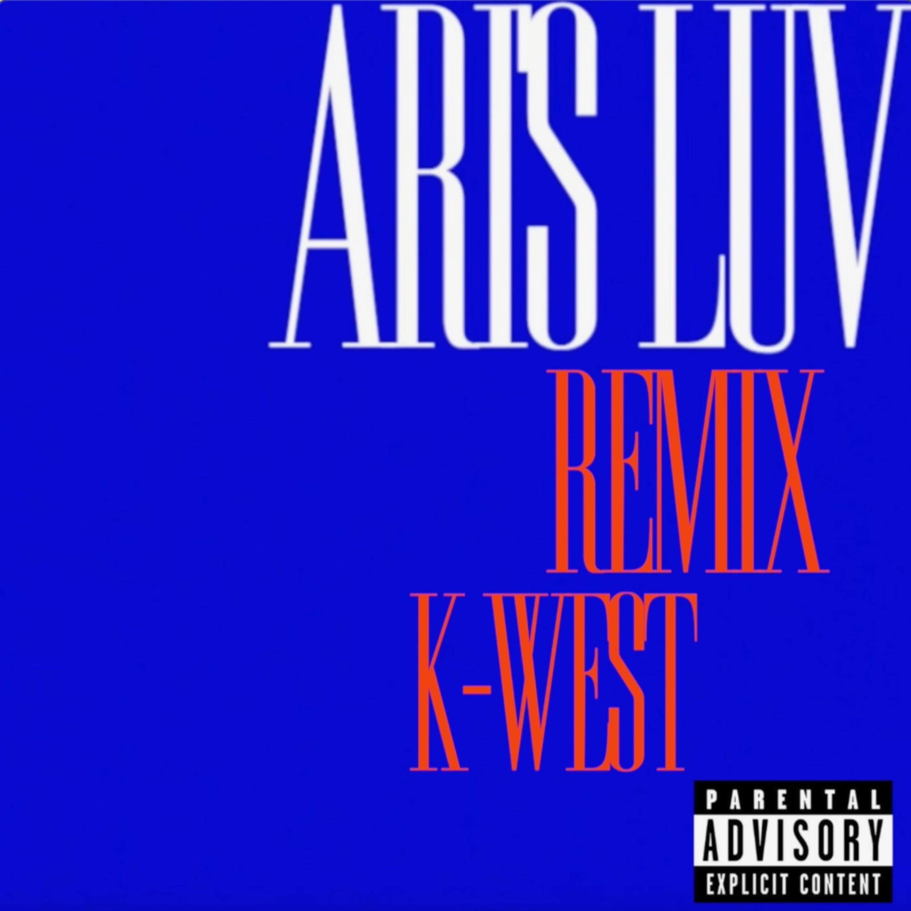 ARI'S LUV [REMIX] artwork