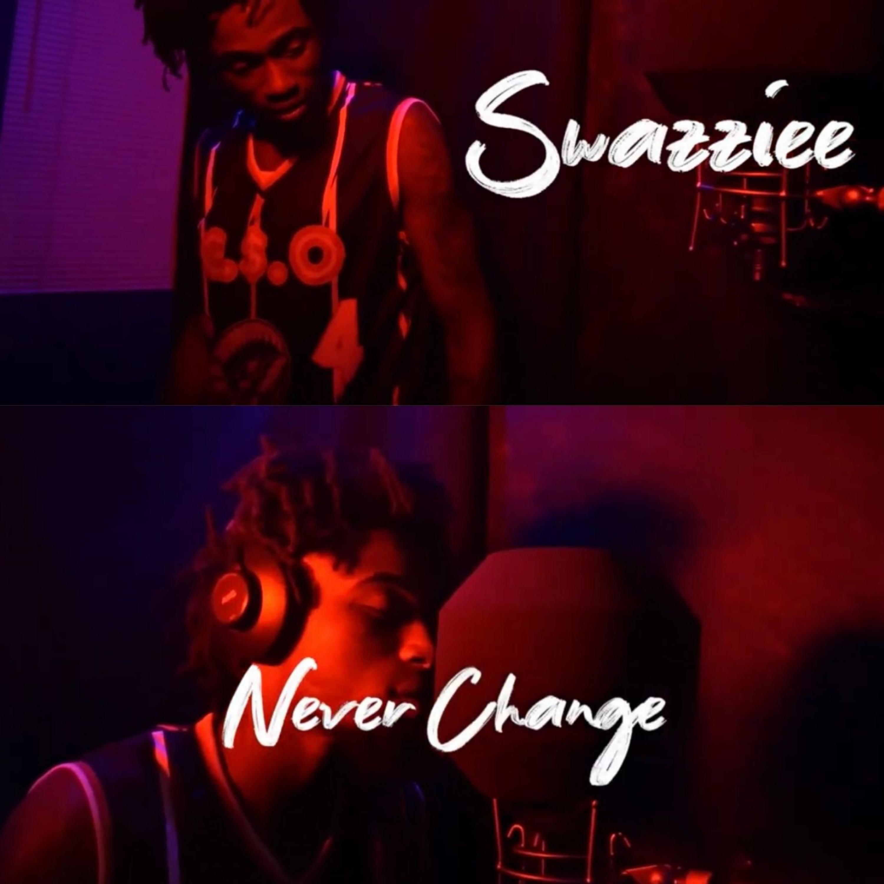 Never Change artwork