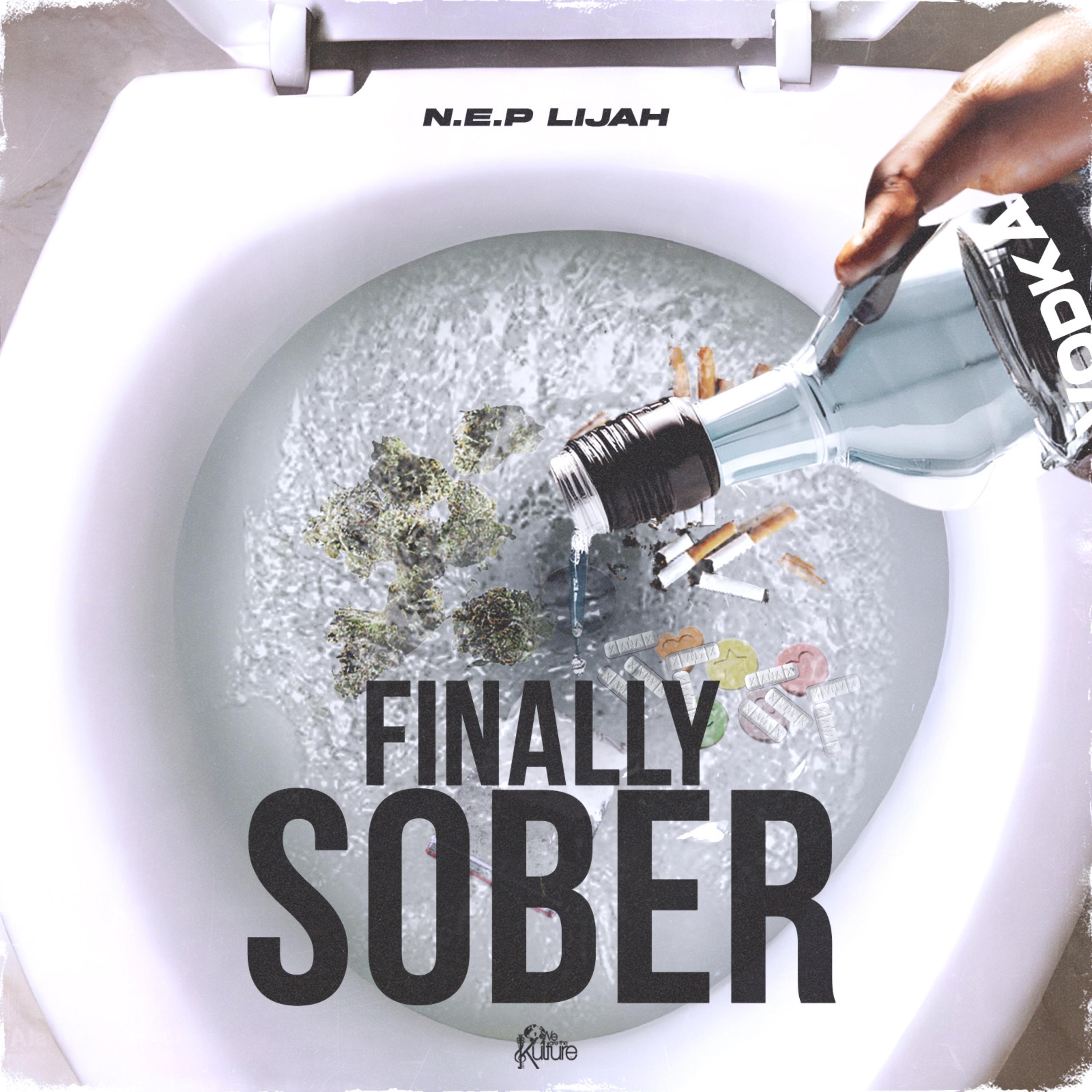 Finally Sober artwork