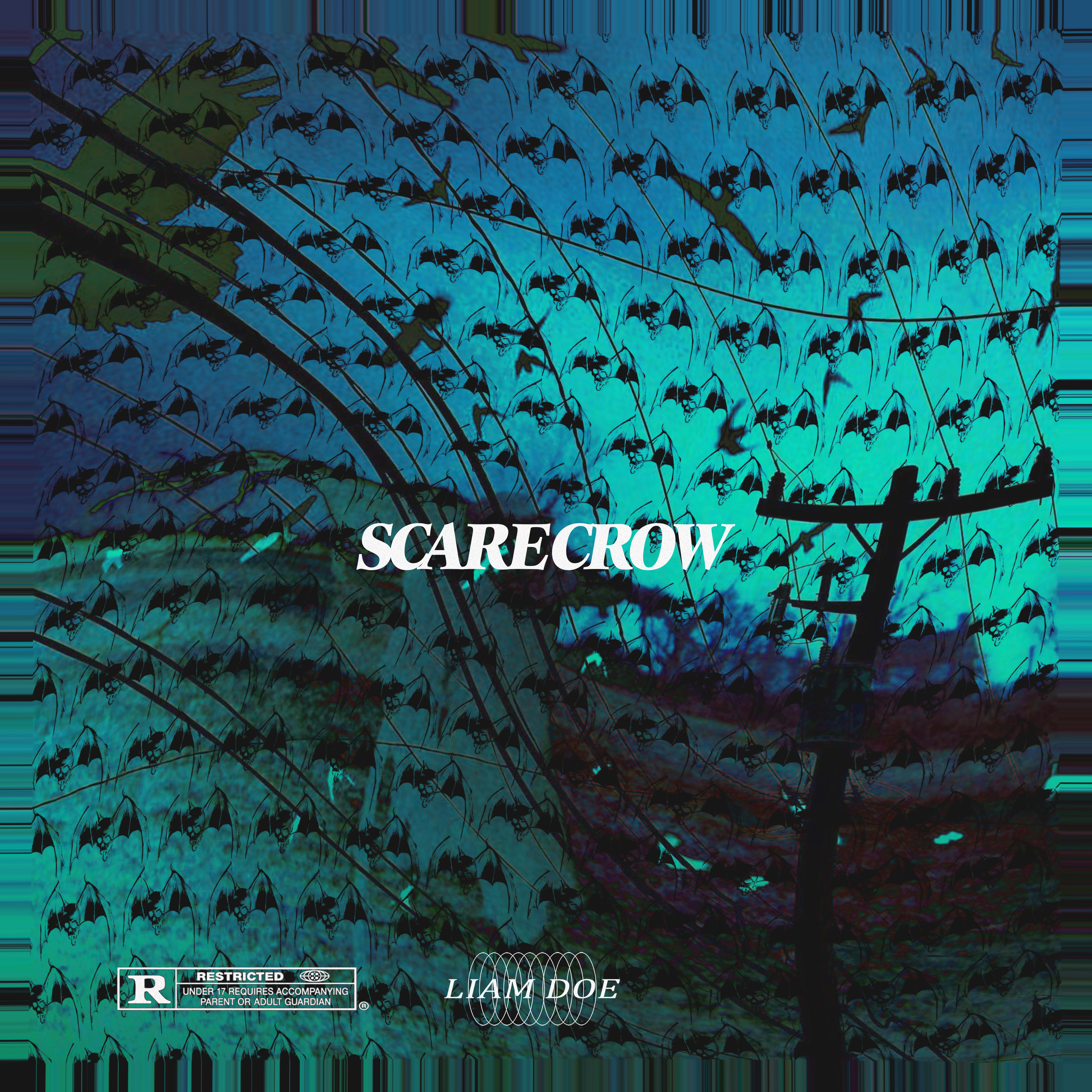 SCARECROW by LIAM DOE cover art
