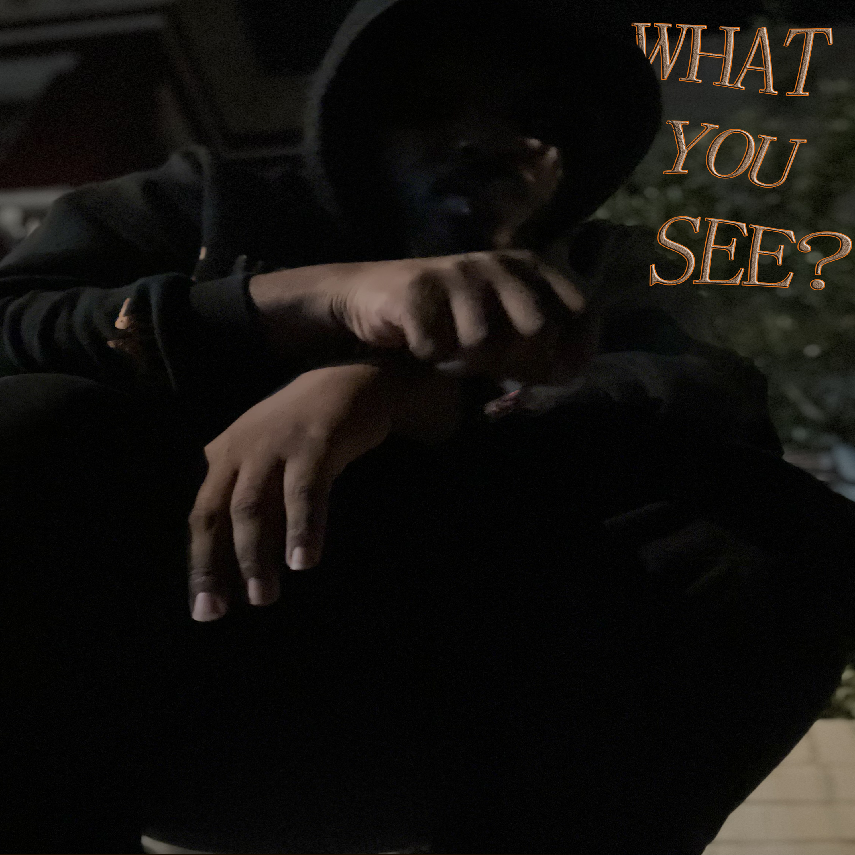 What you see artwork