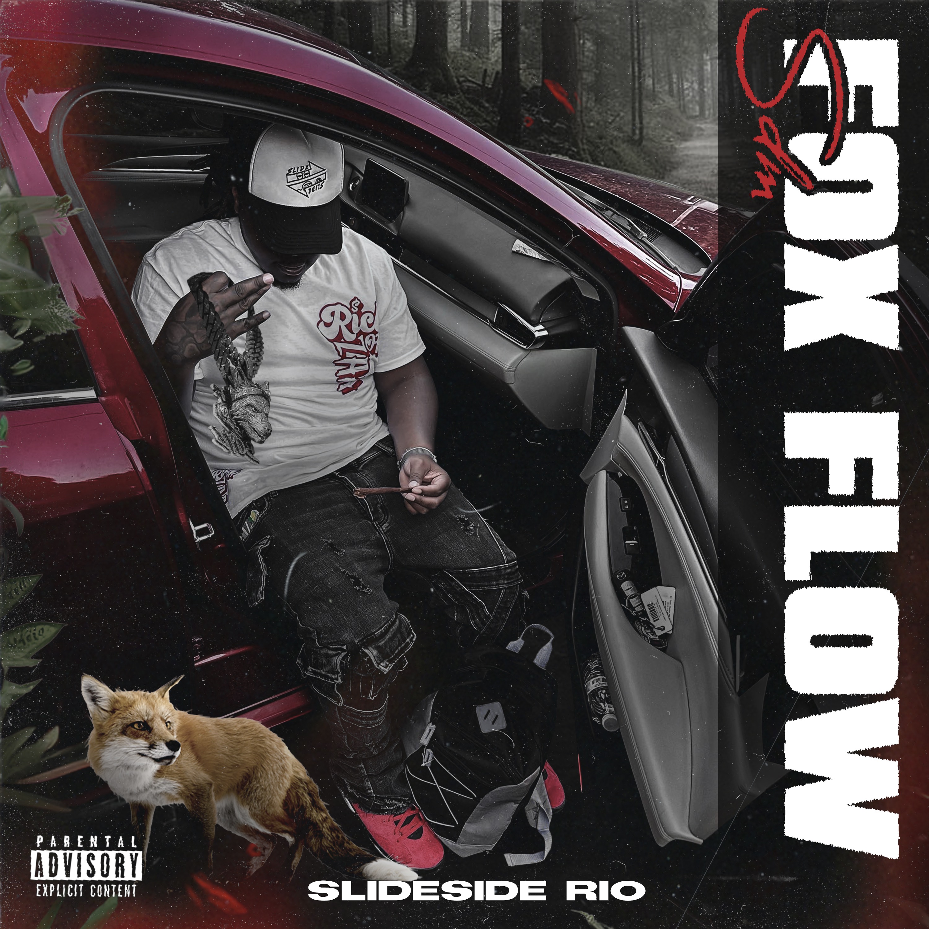 Fox Flow artwork