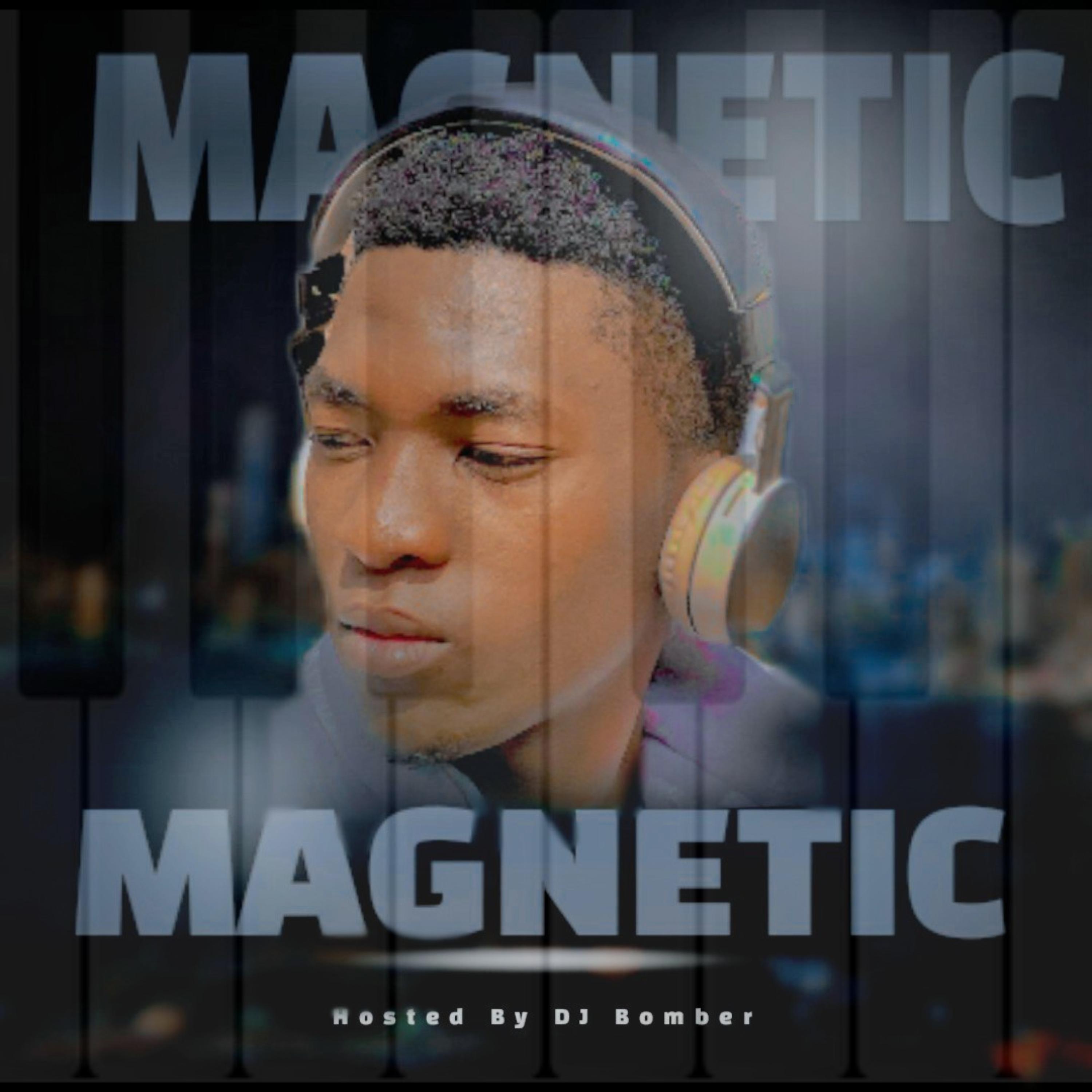 Magnetic artwork