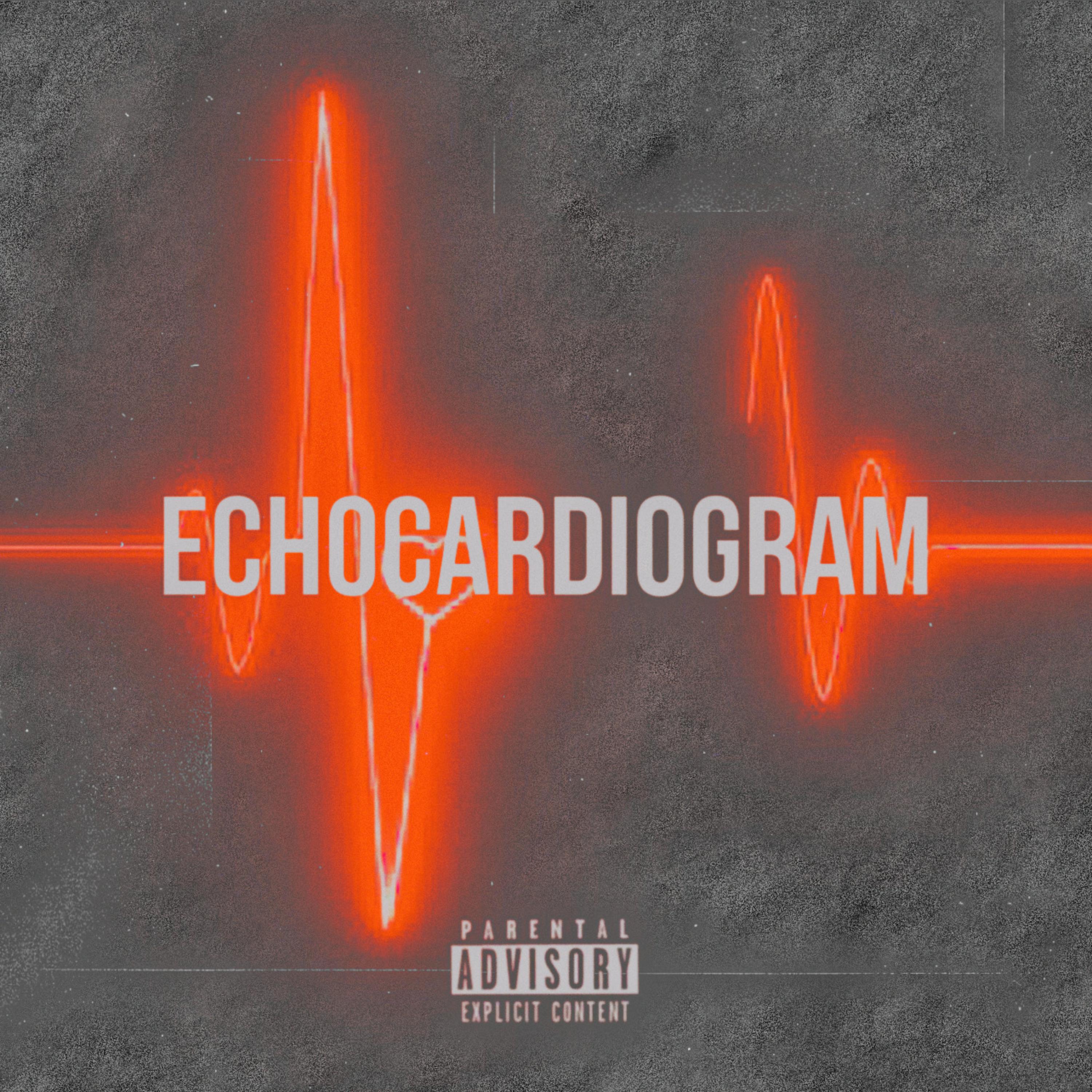 Echocardiogram artwork