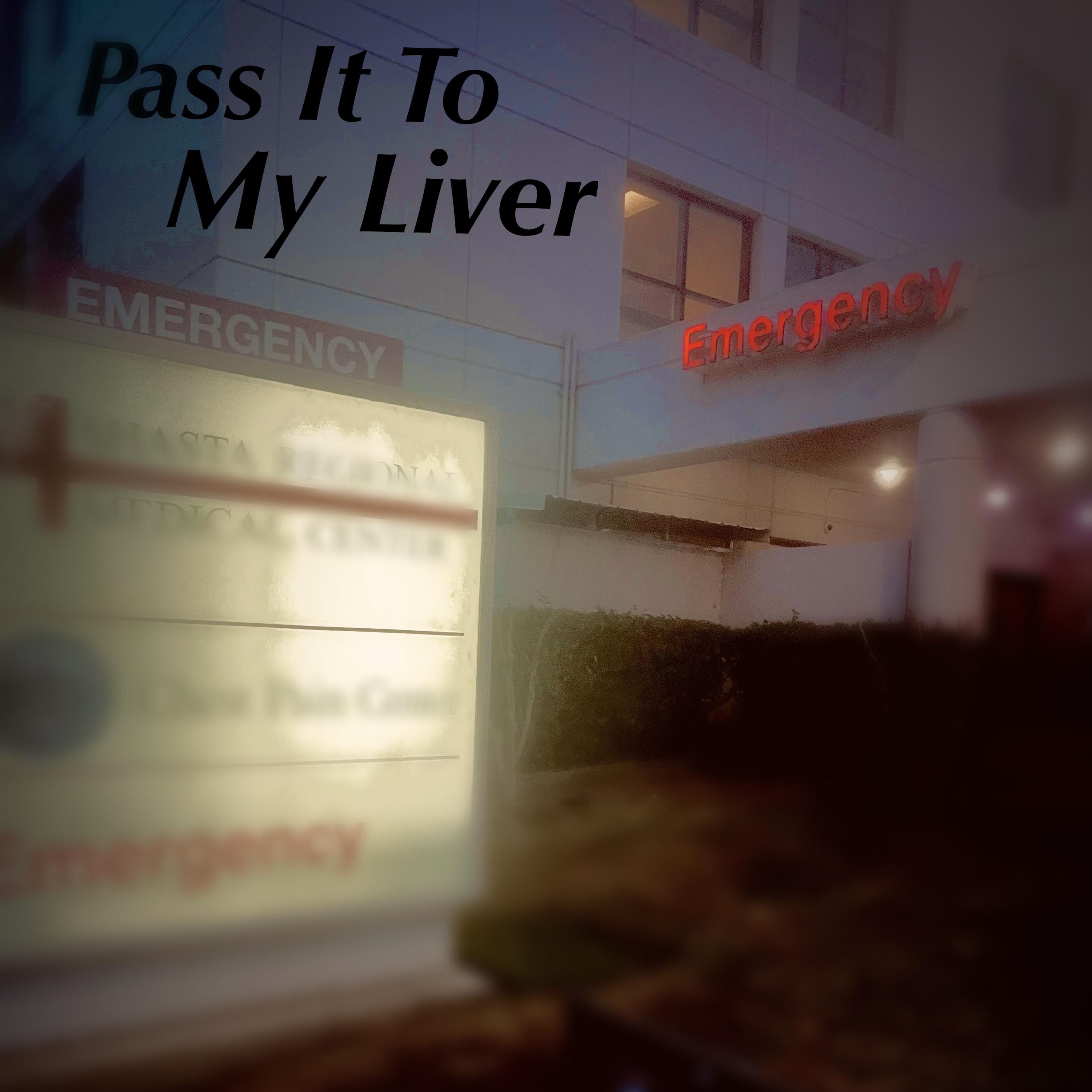 Pass It To My Liver artwork