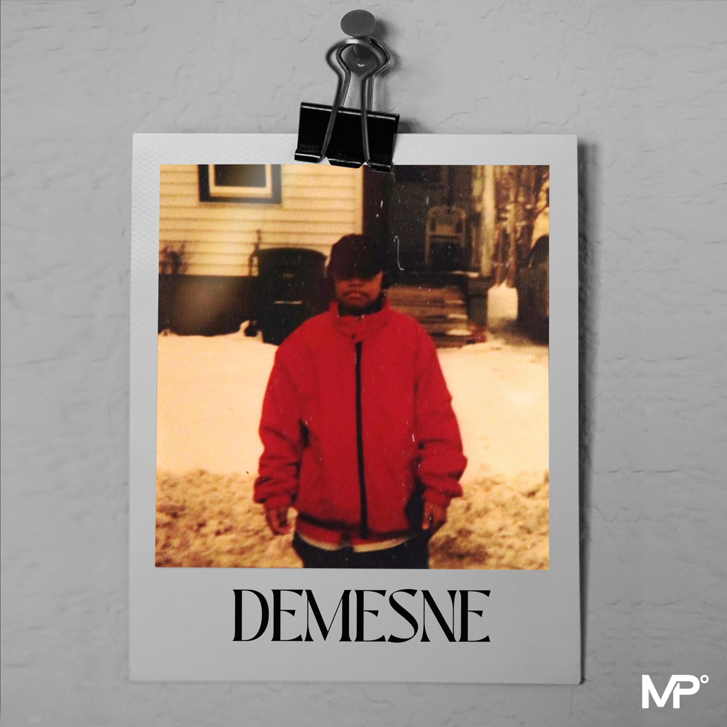 DEMENSE artwork