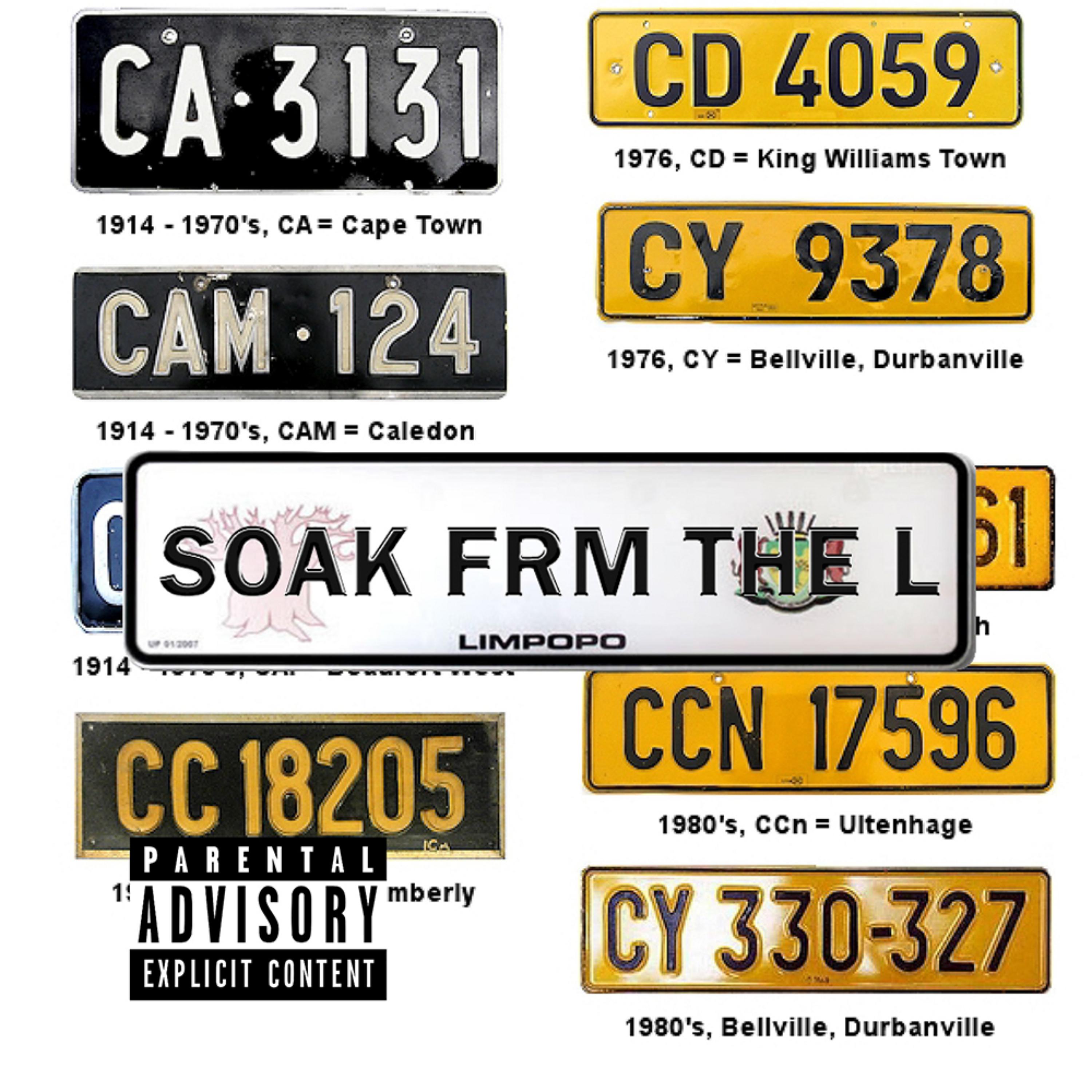 From The L by SOAKzar cover art