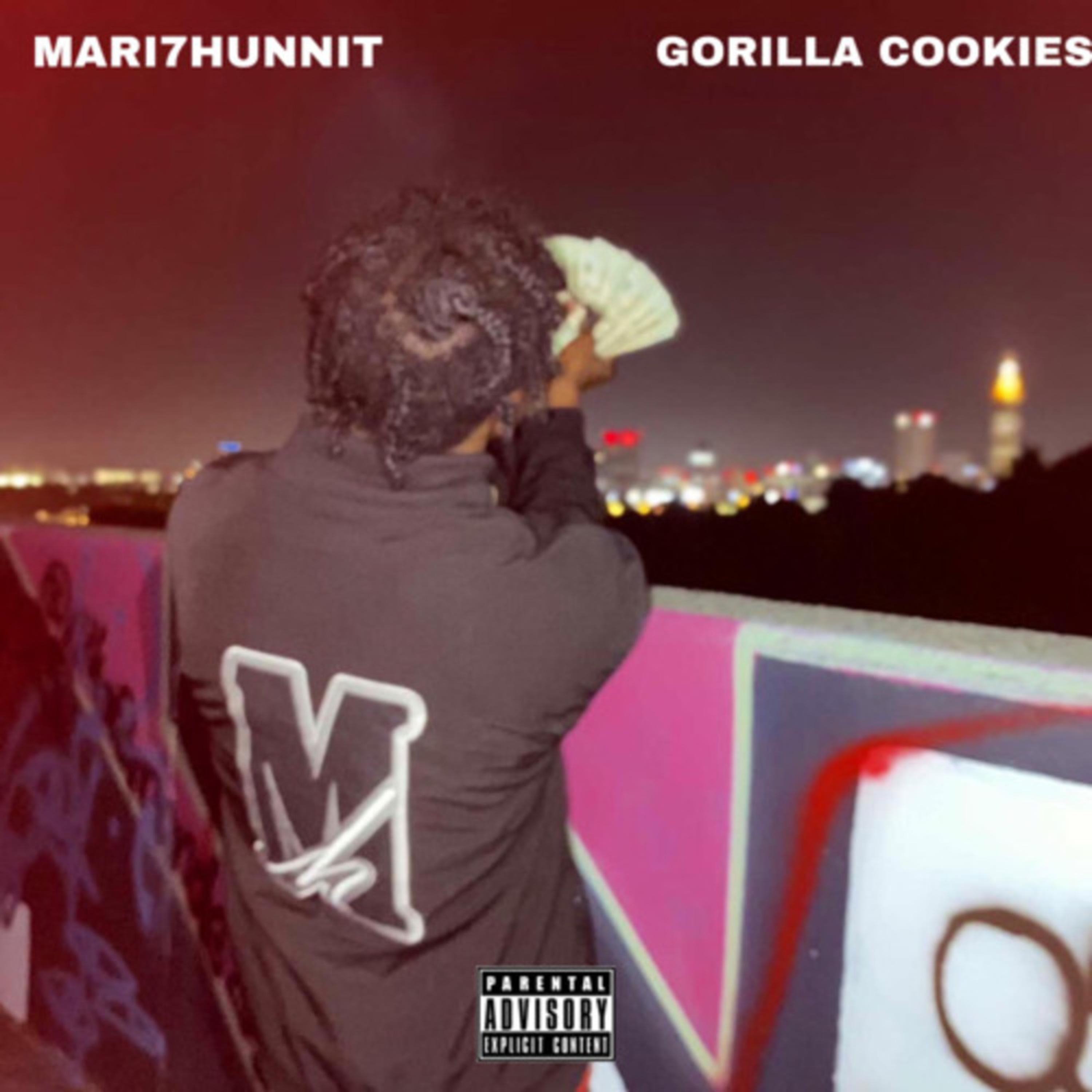 Gorilla Cookies by Mari7Hunnit cover art