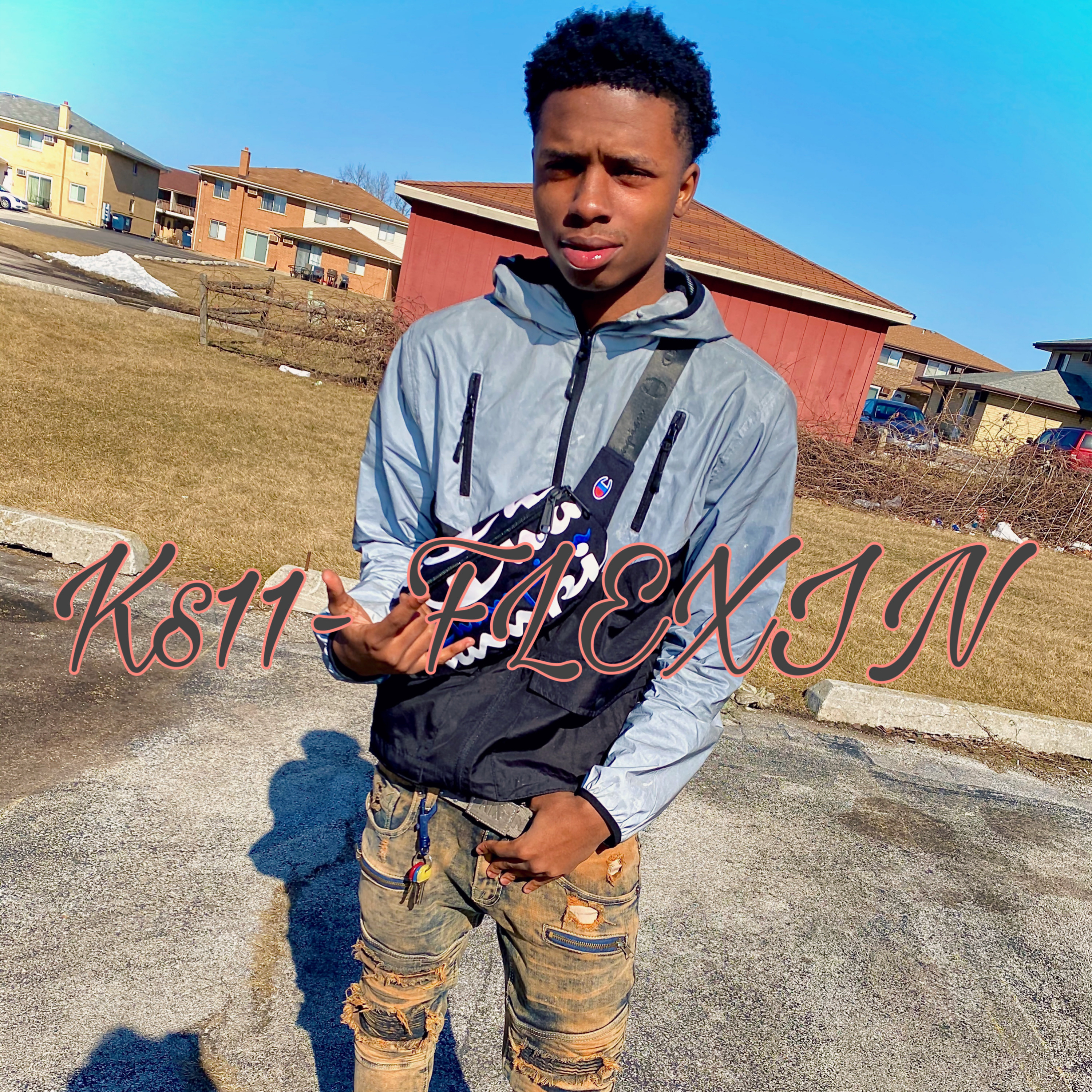 FLEXIN artwork
