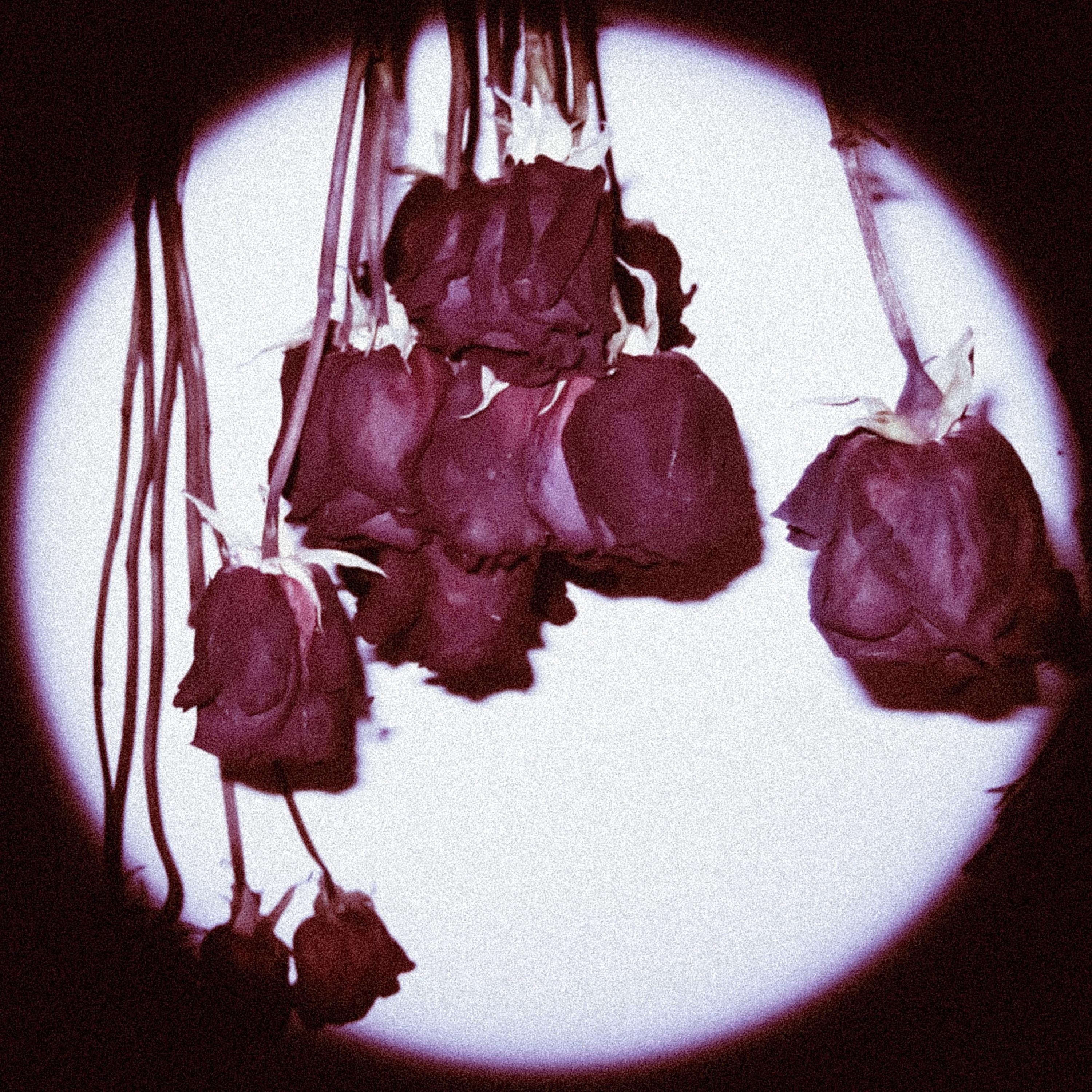 Deceive artwork