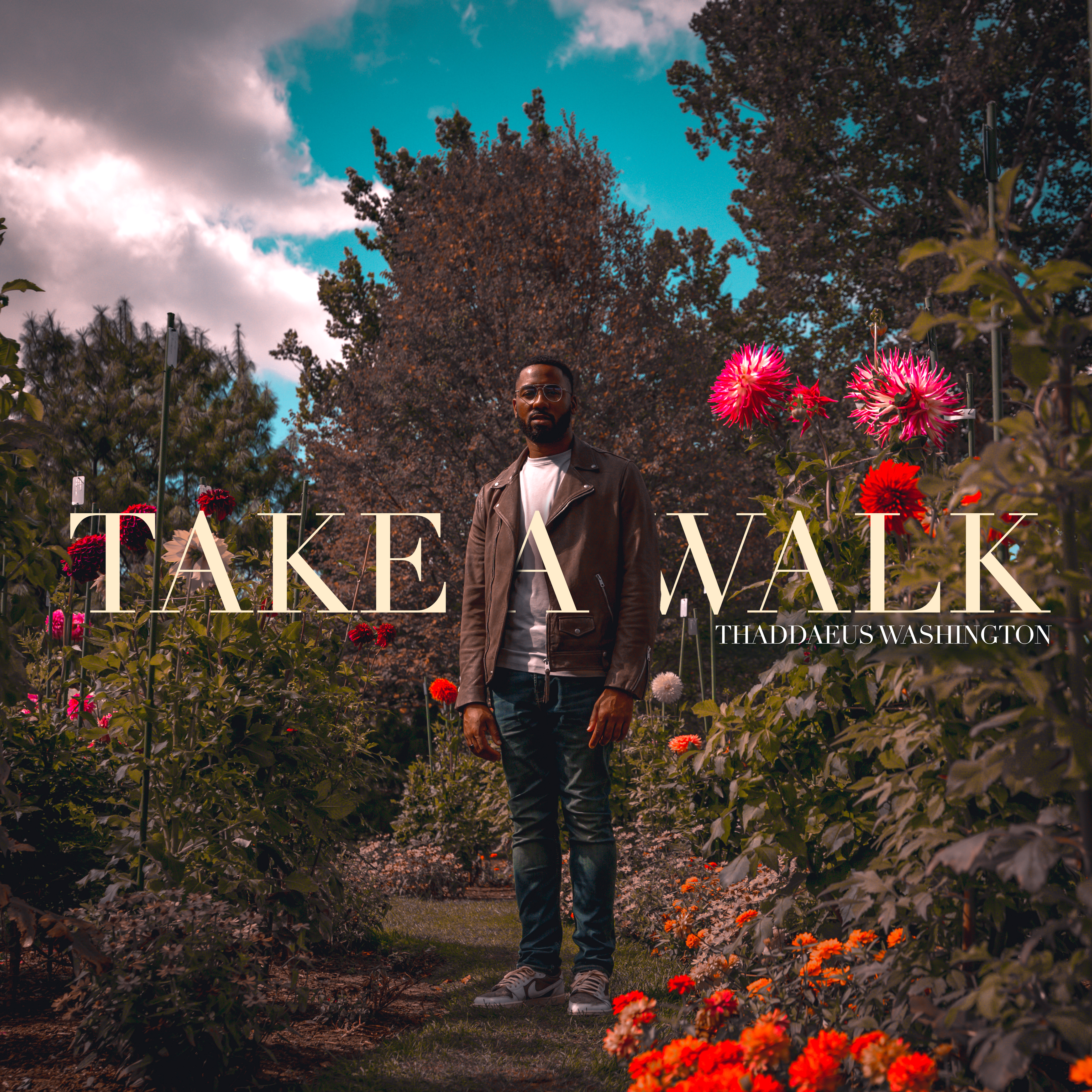 Take A Walk artwork