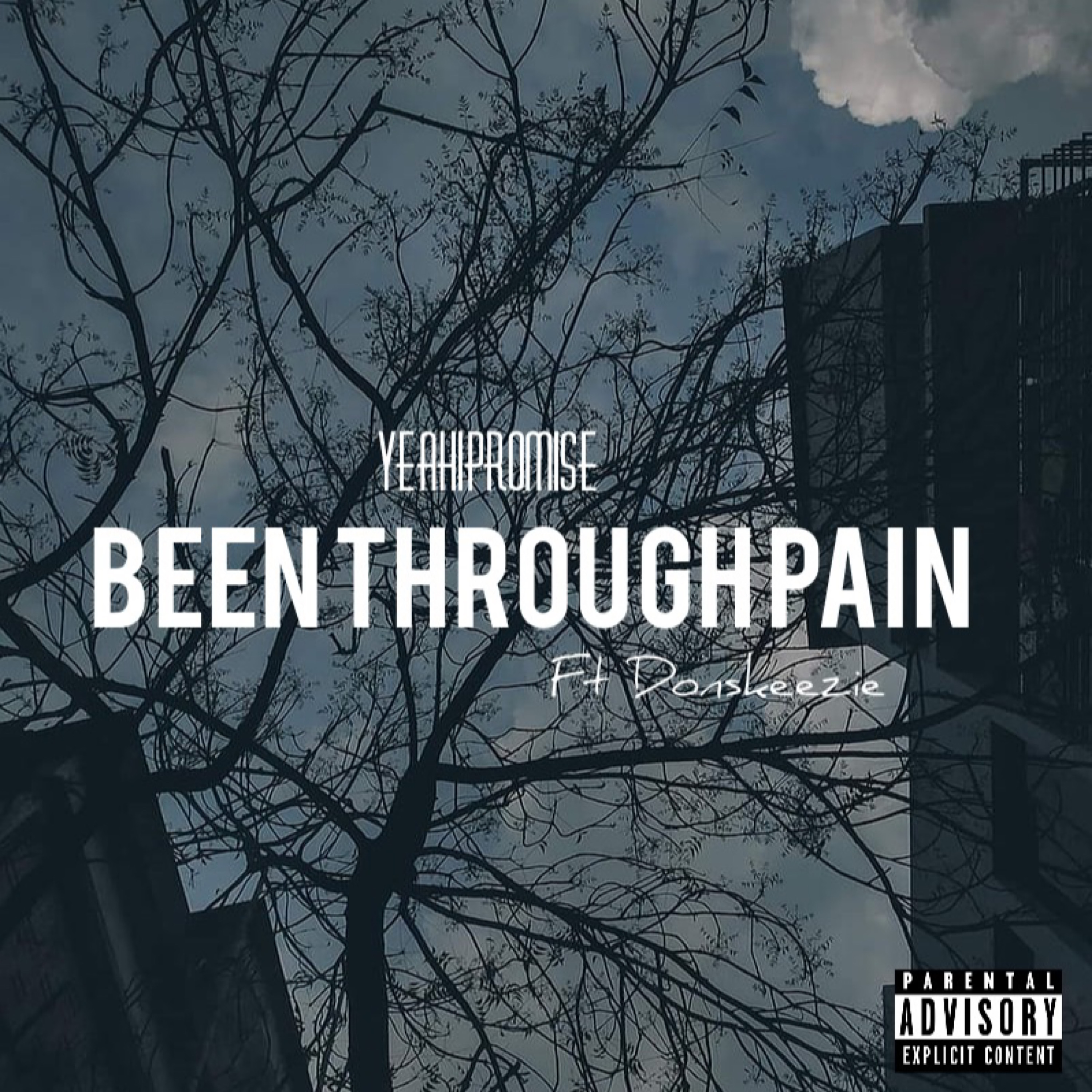 Been Through Pain artwork