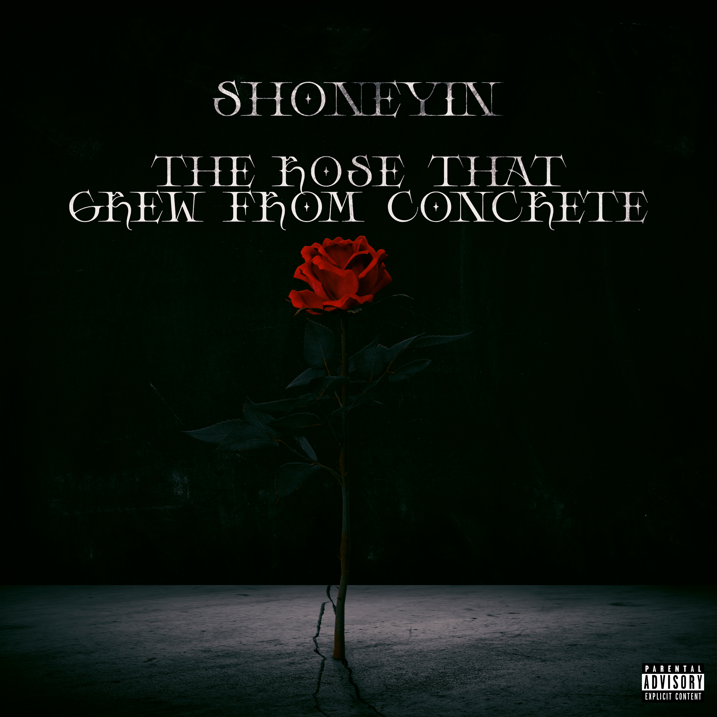 The Rose That Grew From Concrete artwork