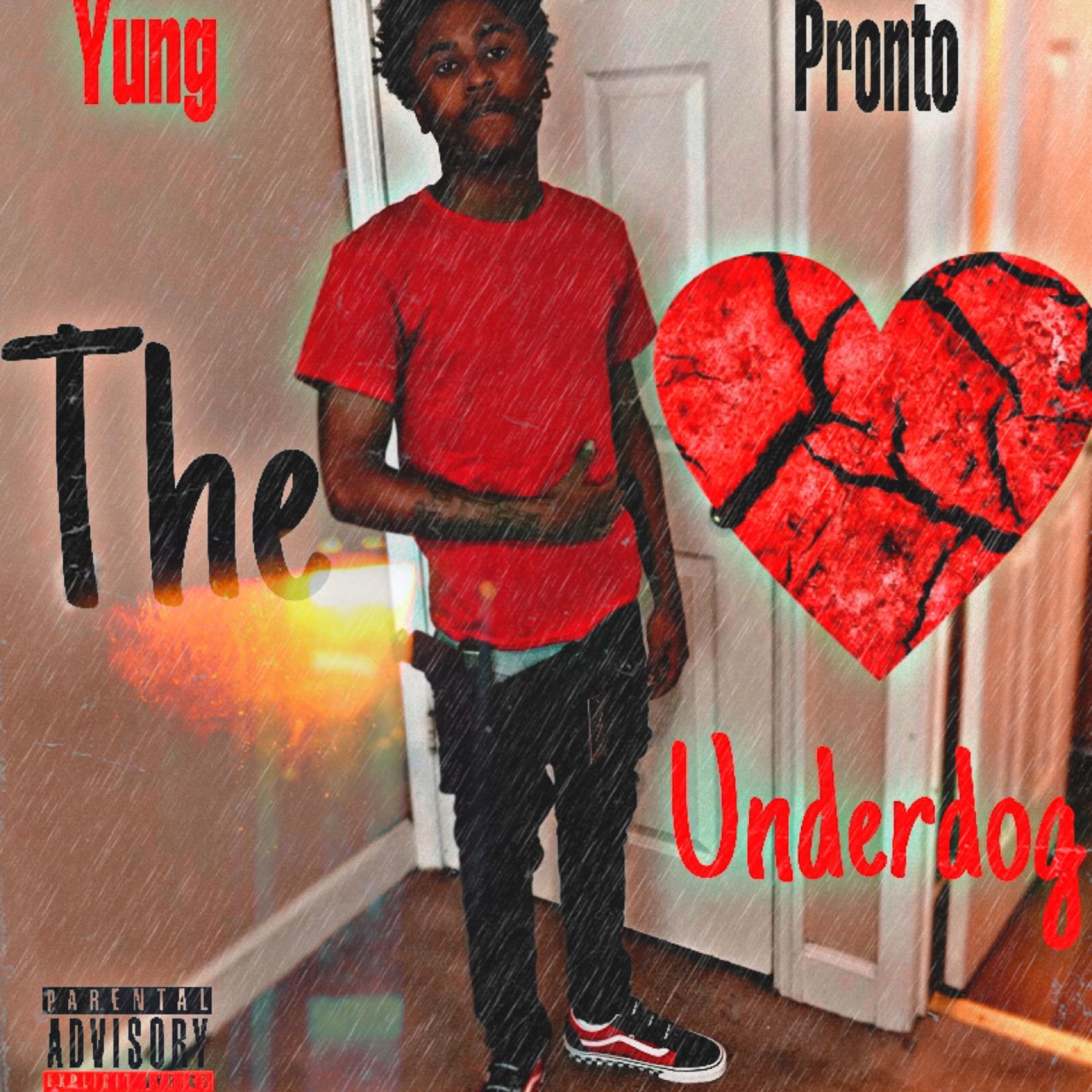 The UnderDog artwork