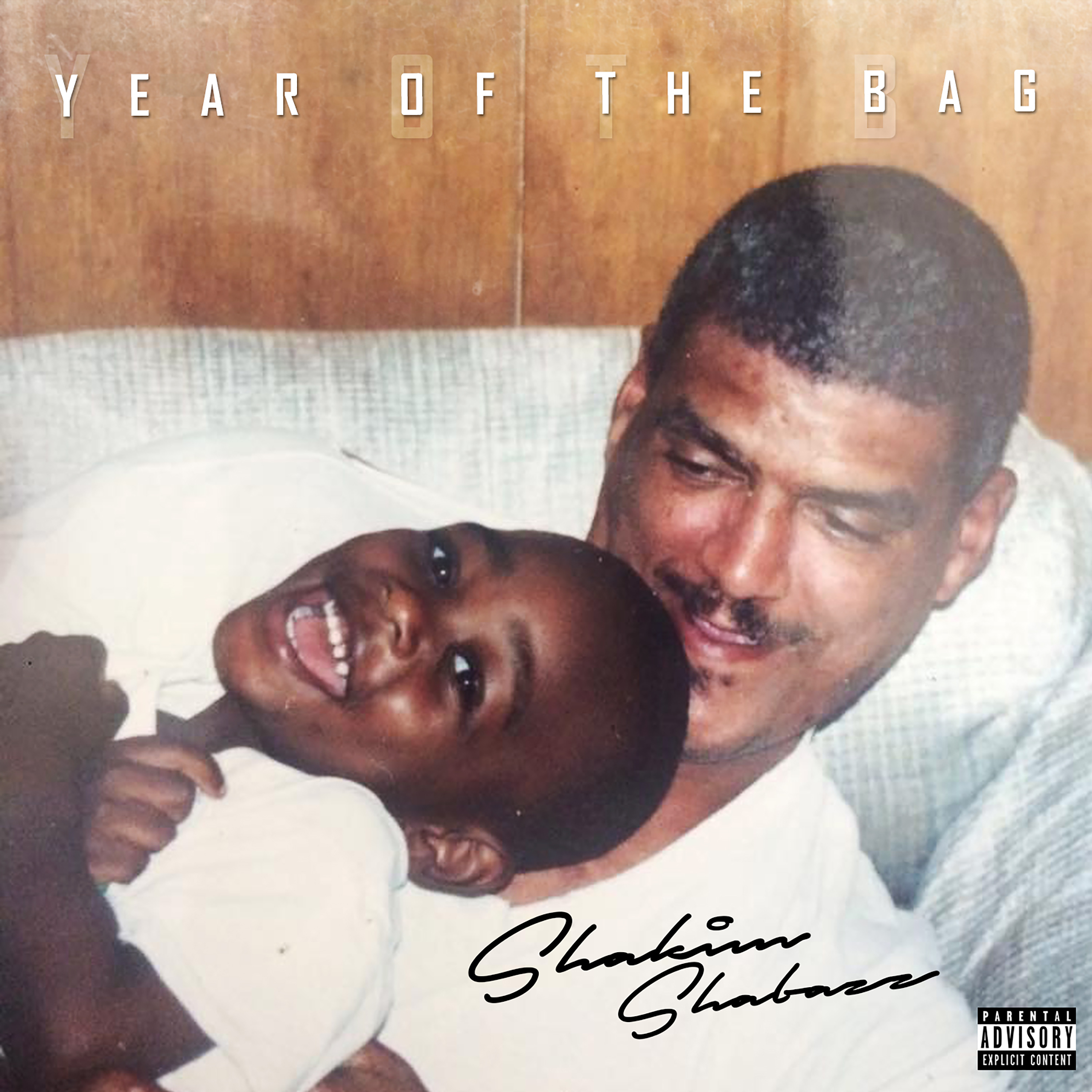 Year of the Bag artwork