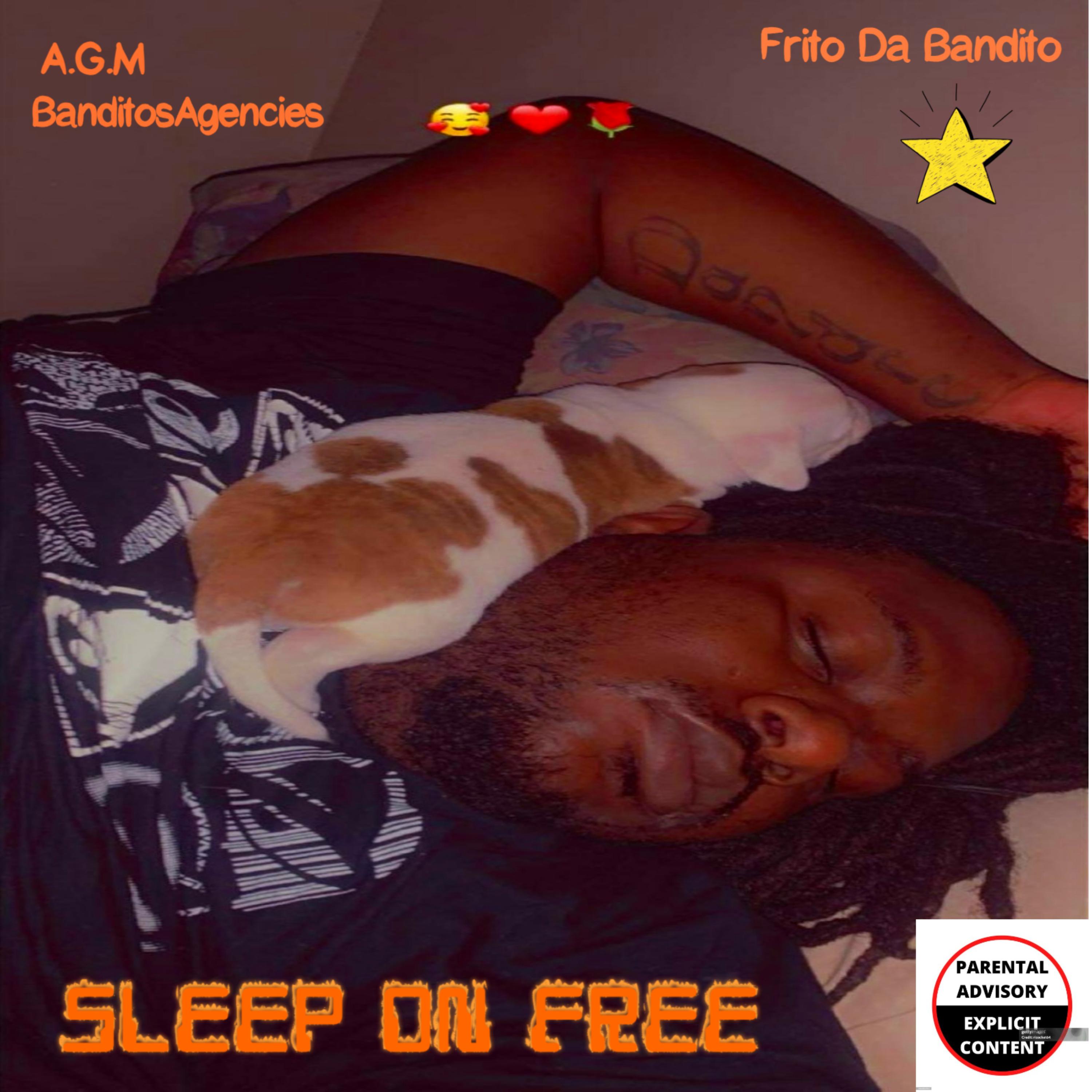 SLEEP ON FREE artwork