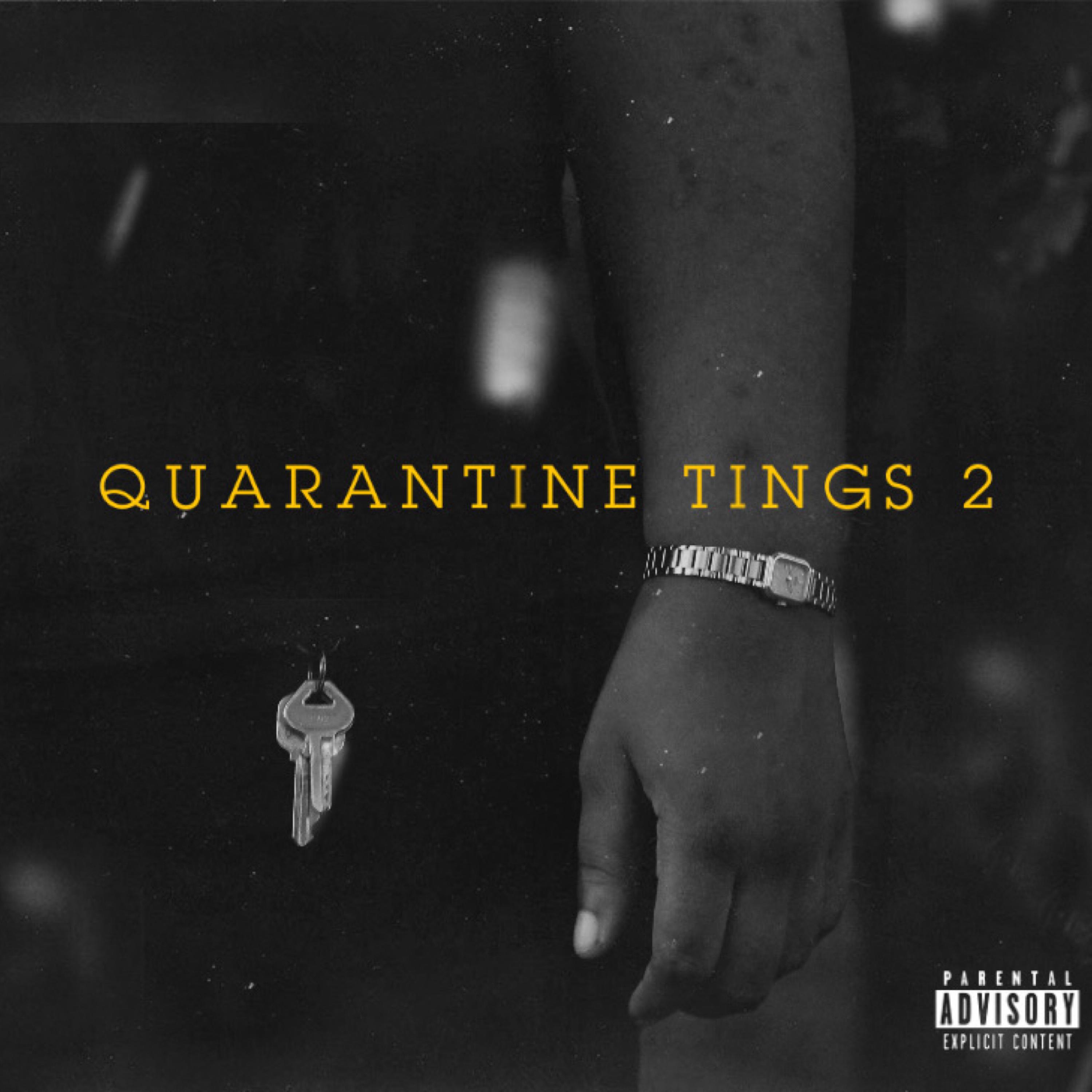 Quarantine Tings 2 artwork