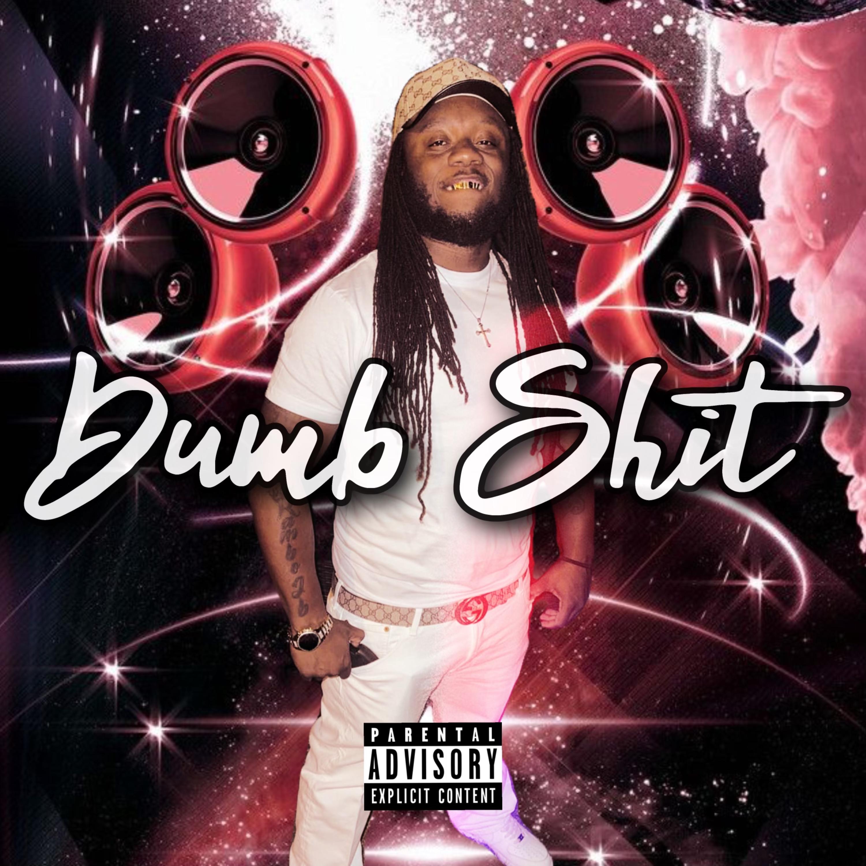 DUMB SHIT artwork