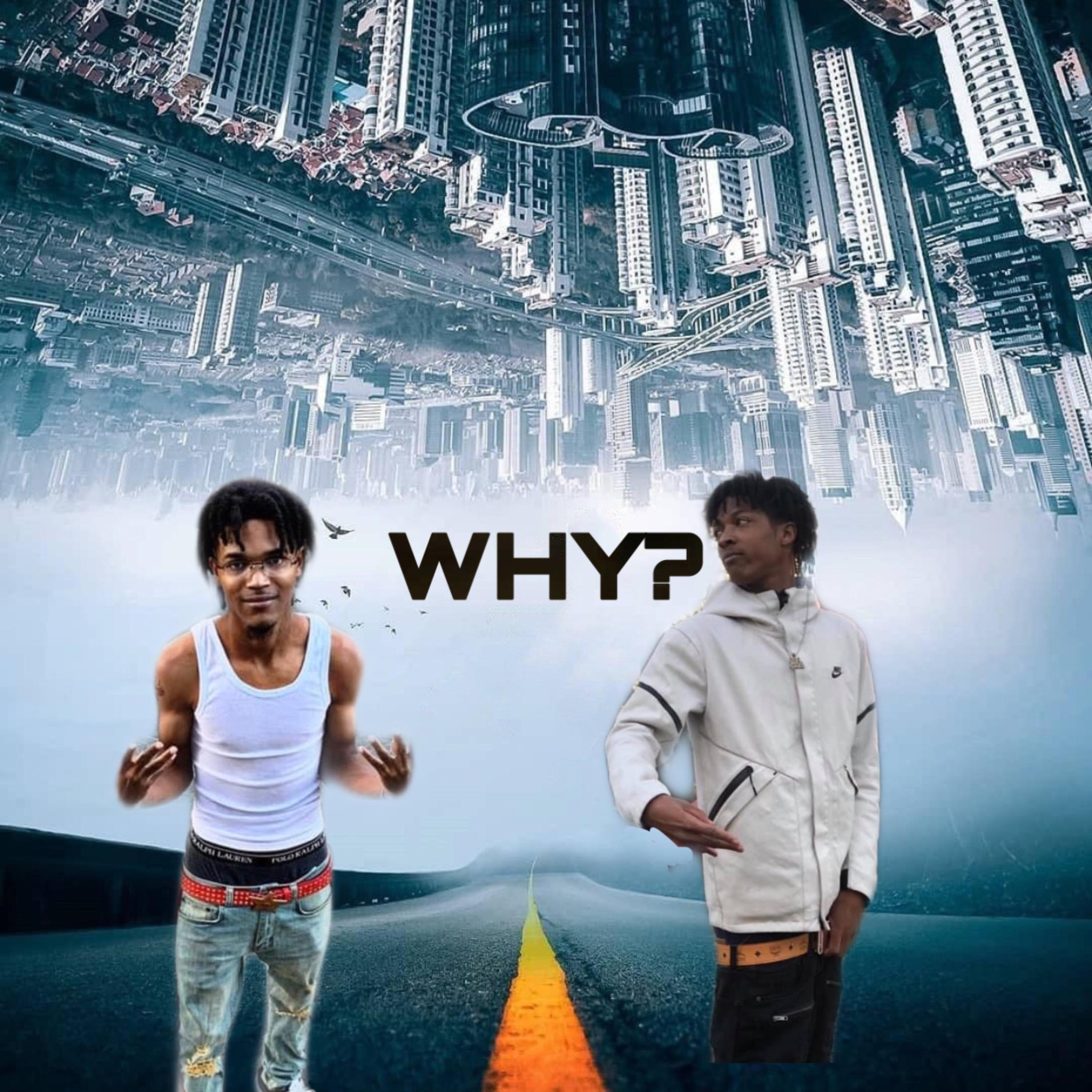 Why by Itz Hoggy cover art