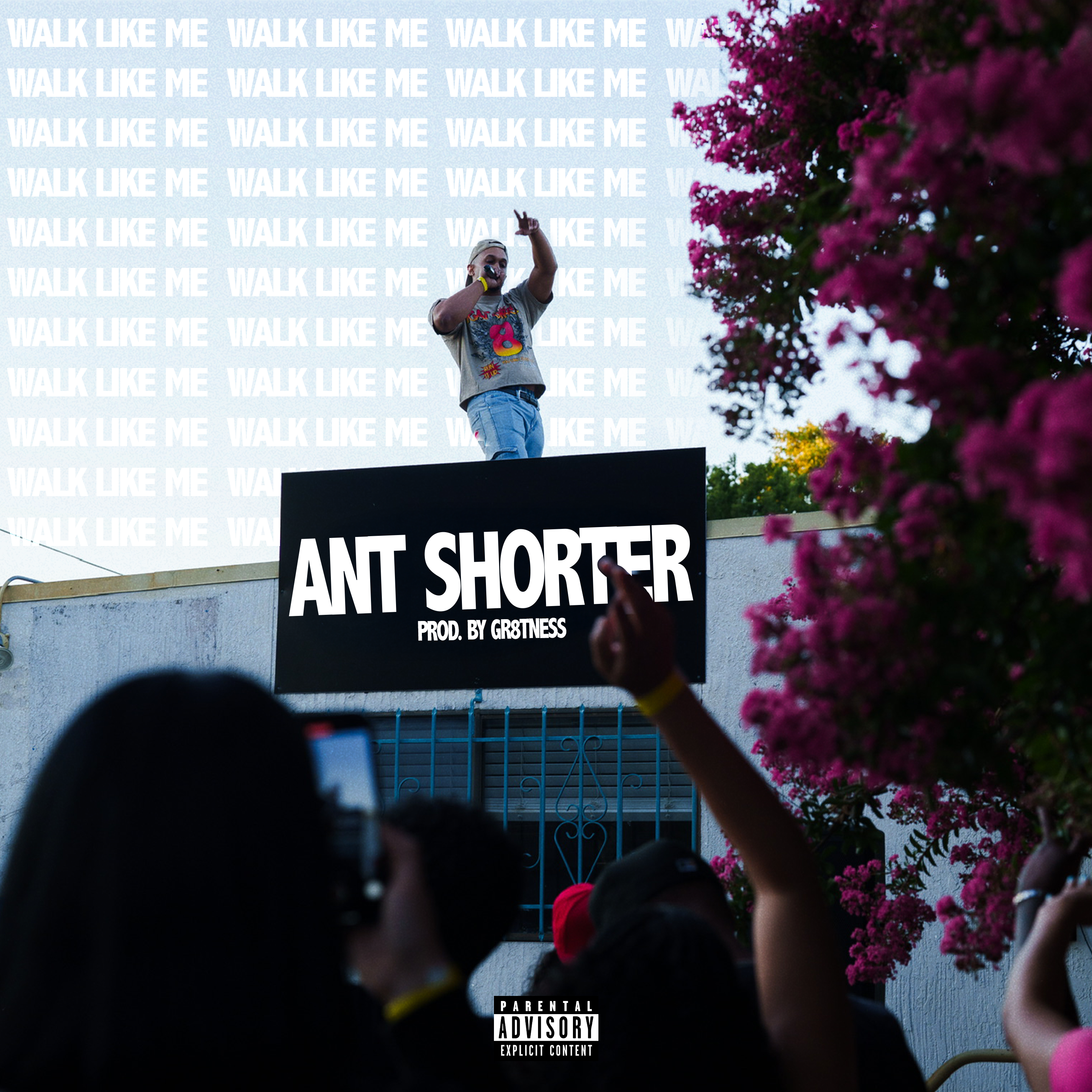 Walk Like Me artwork