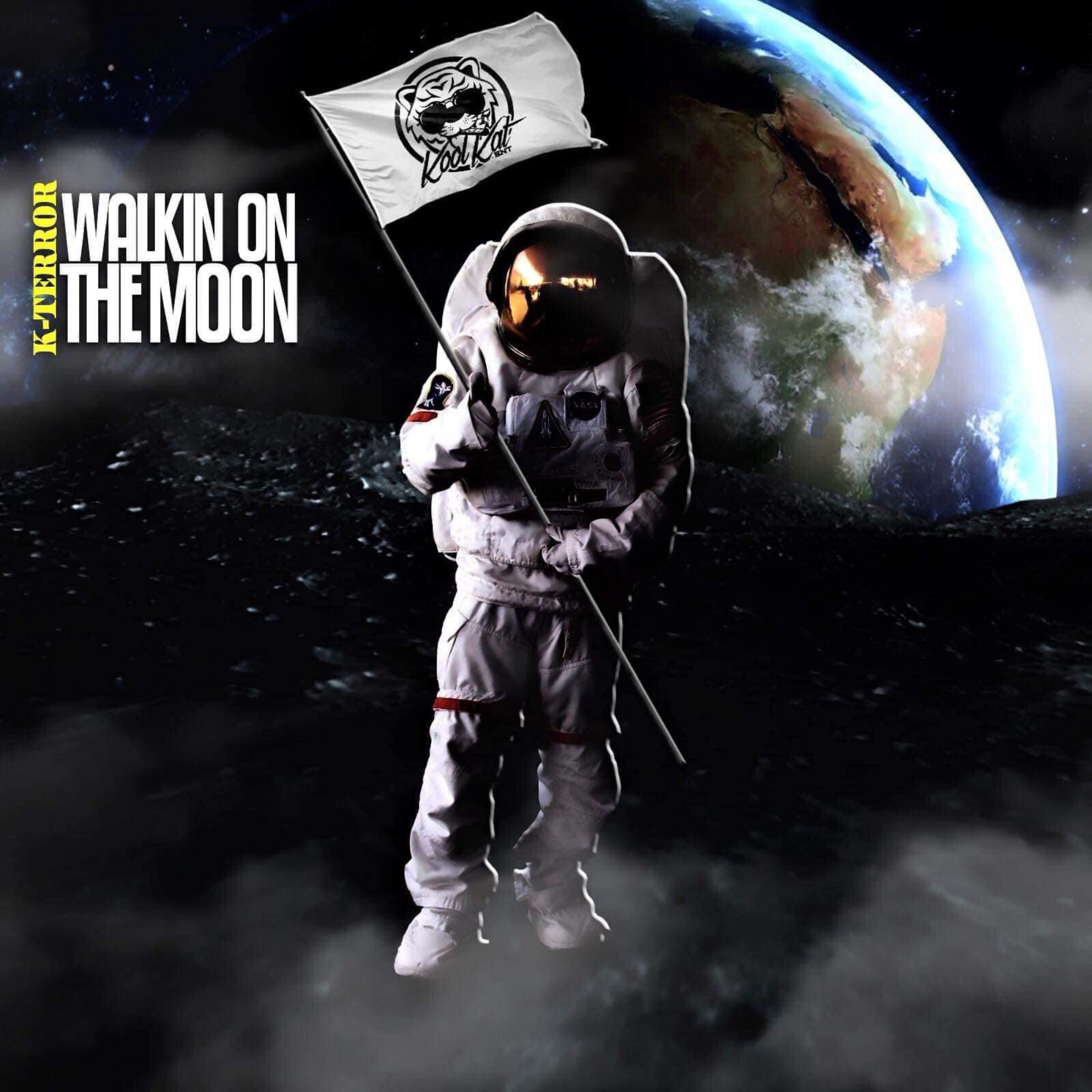 Walkin' On The Moon artwork