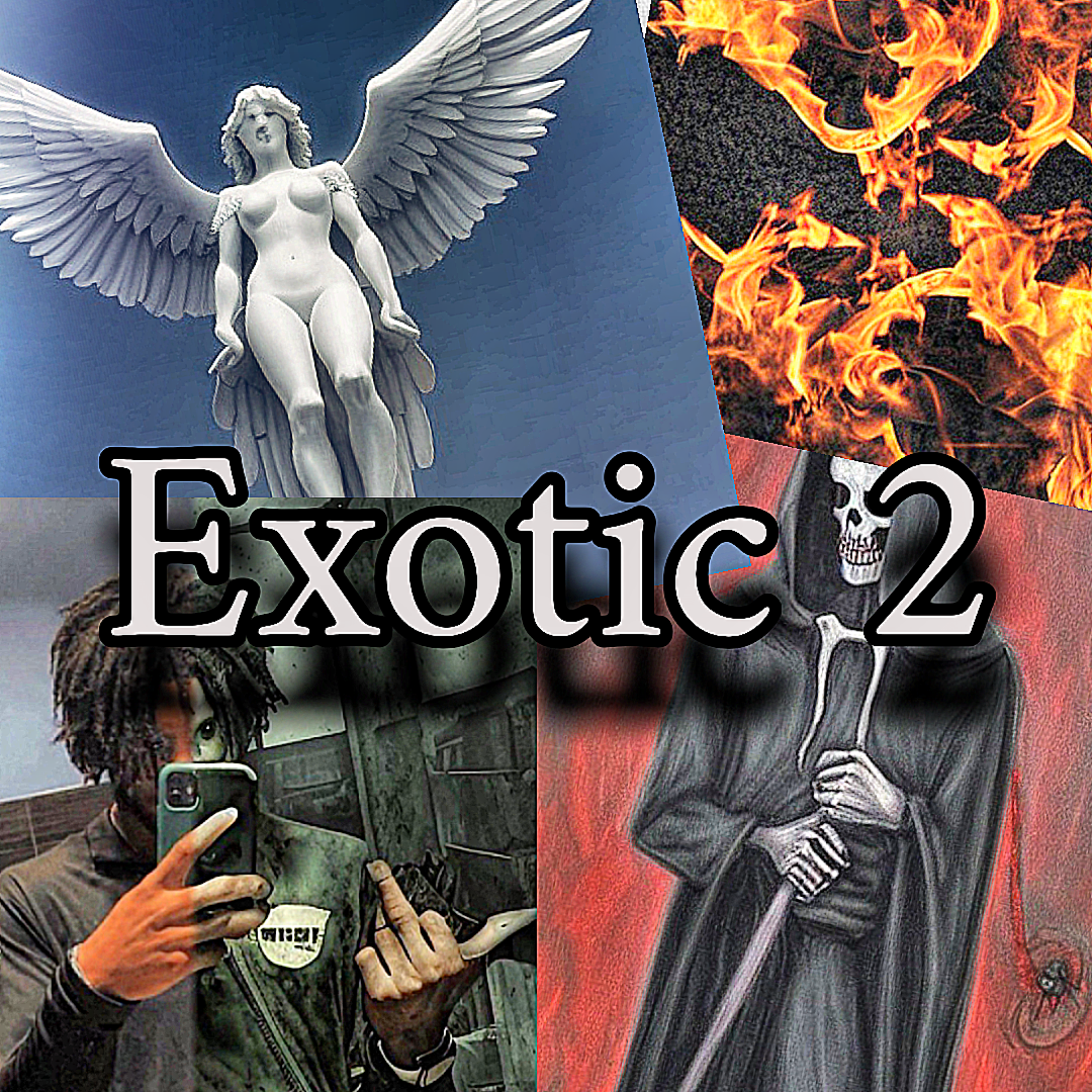 Exotic 2 artwork