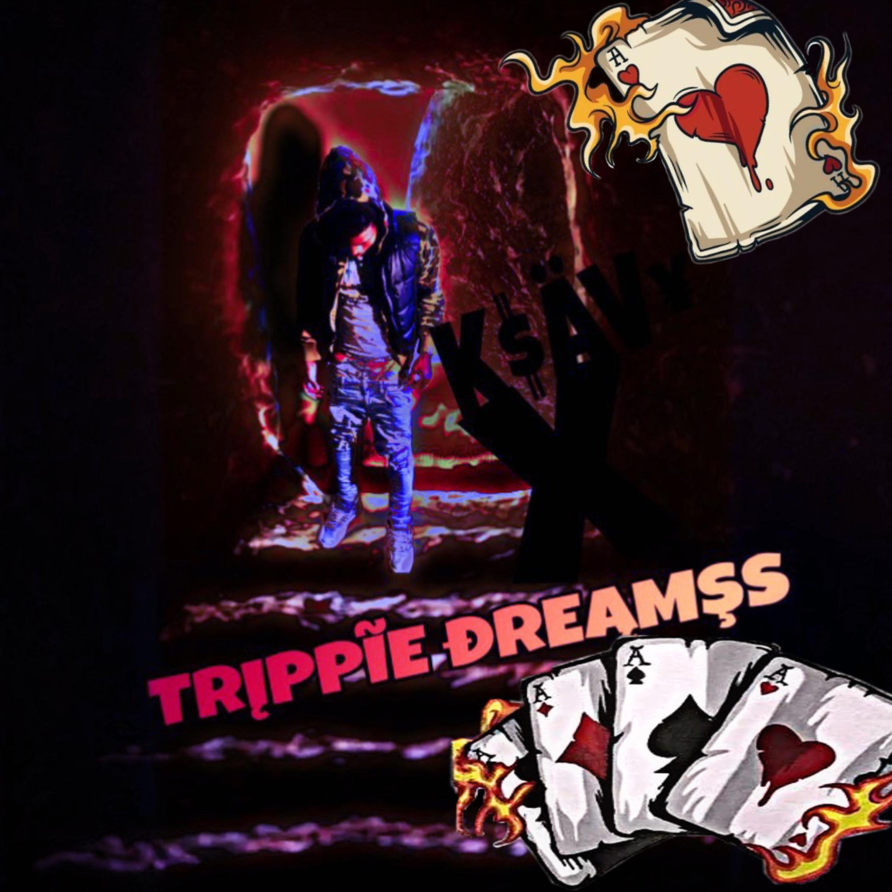 TRIPPIE DREAMS artwork