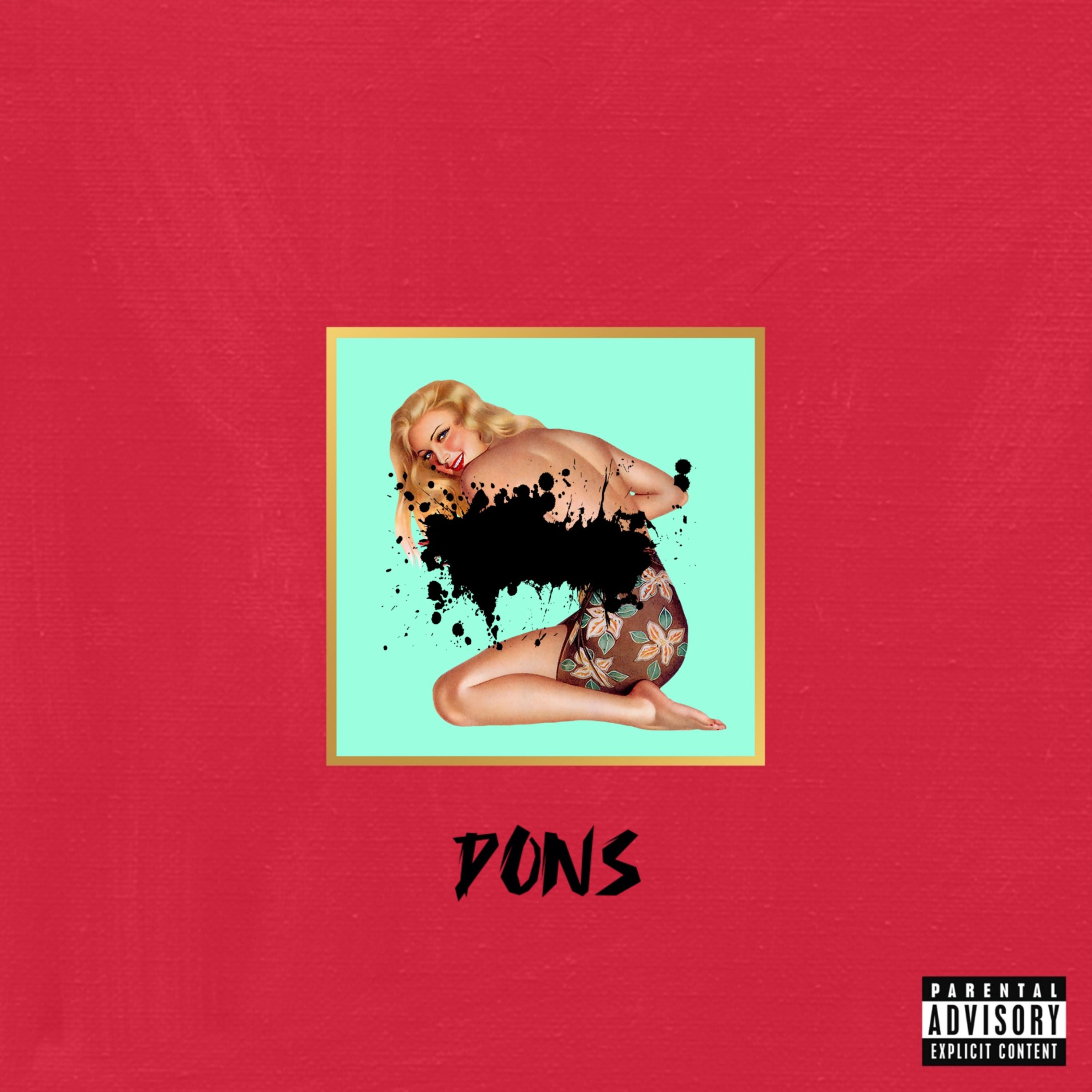 DONS artwork