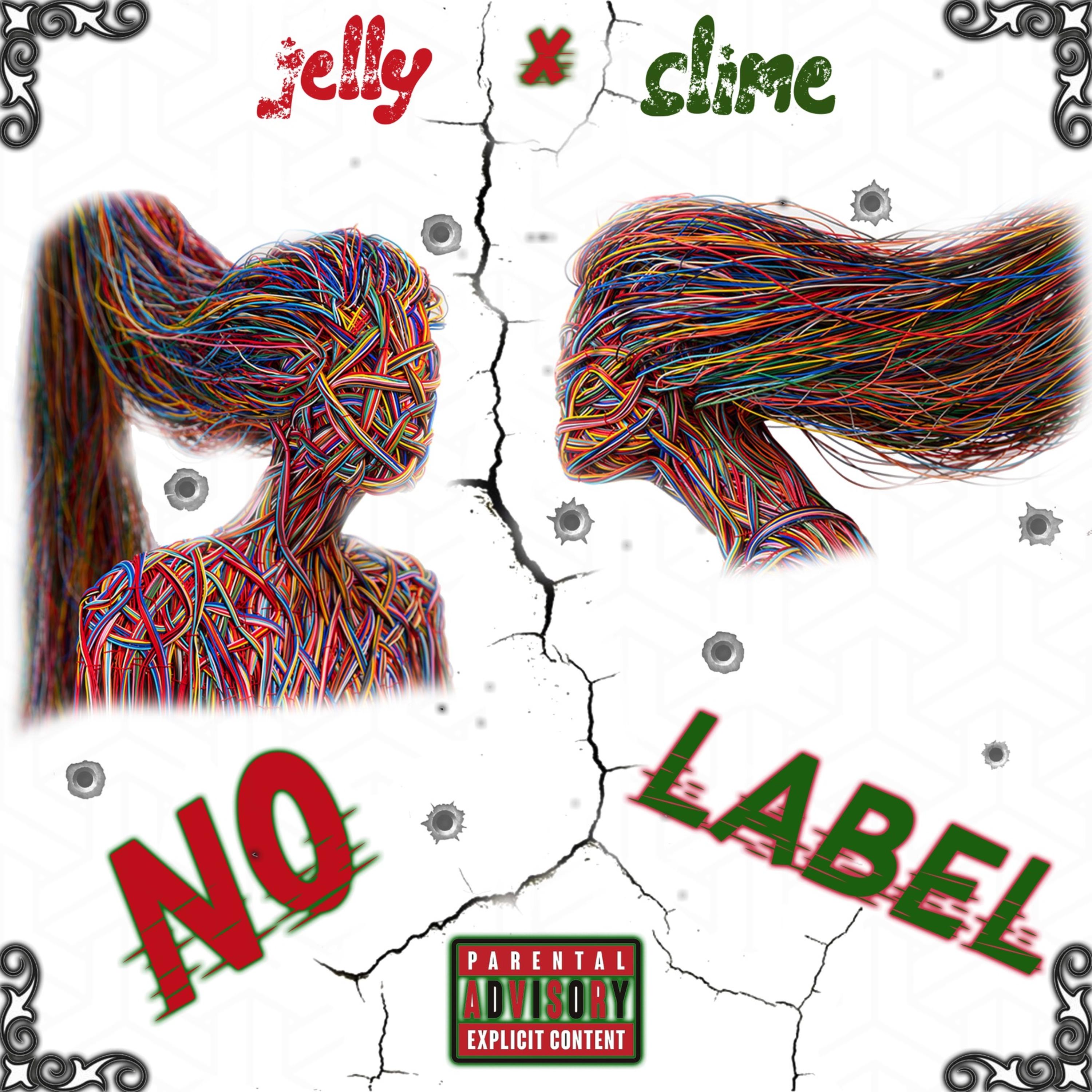 NO LABEL artwork