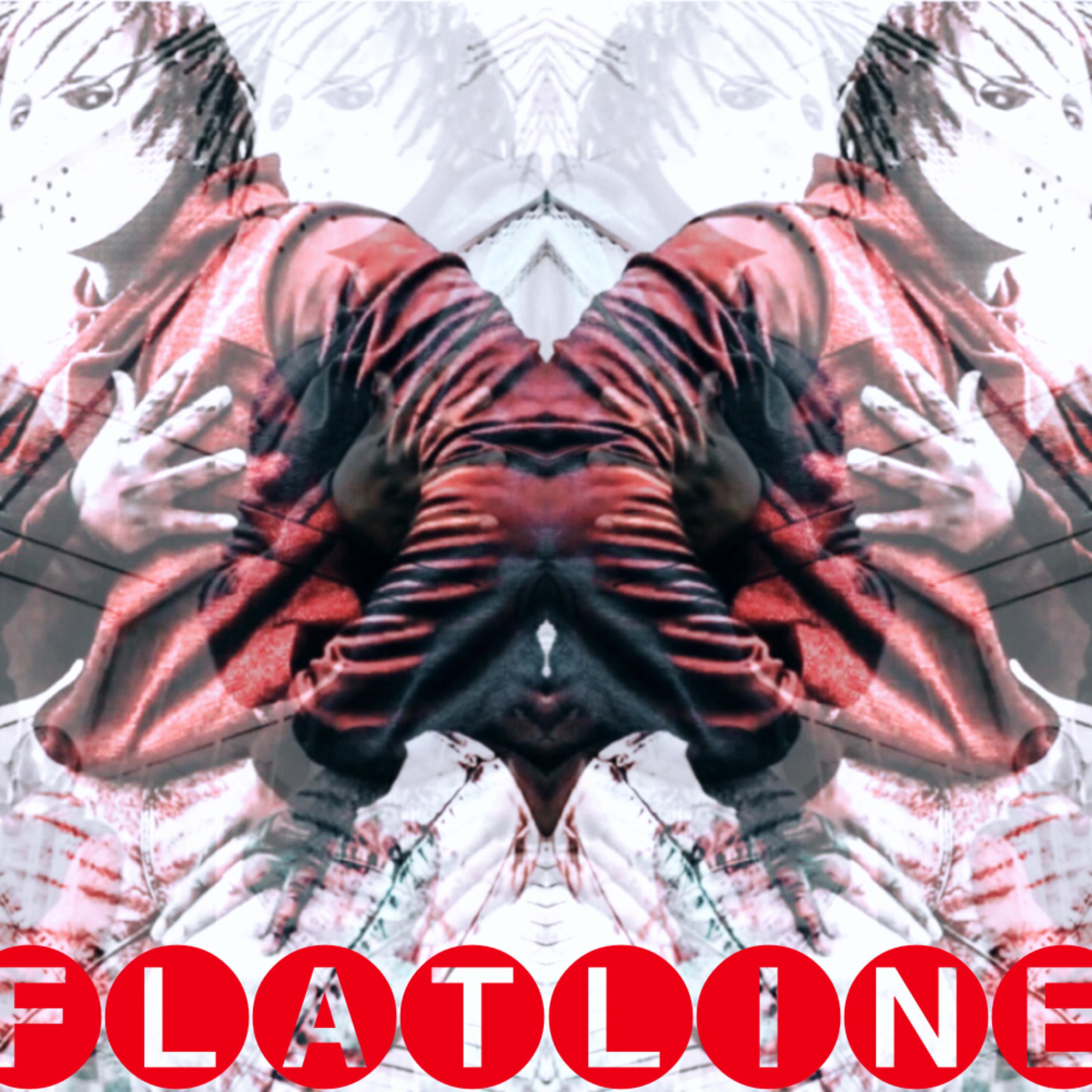 FlatLine artwork