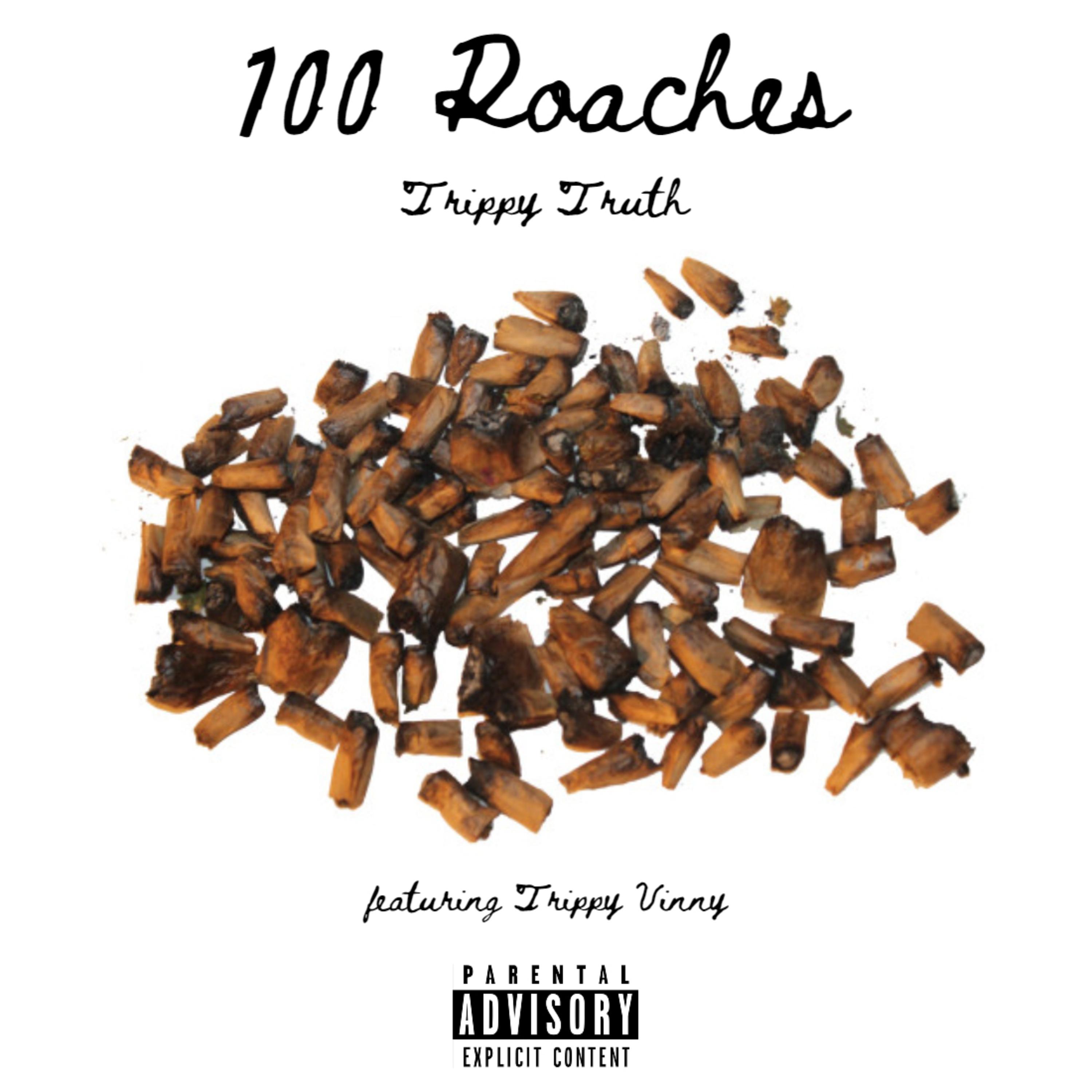 100 Roaches artwork
