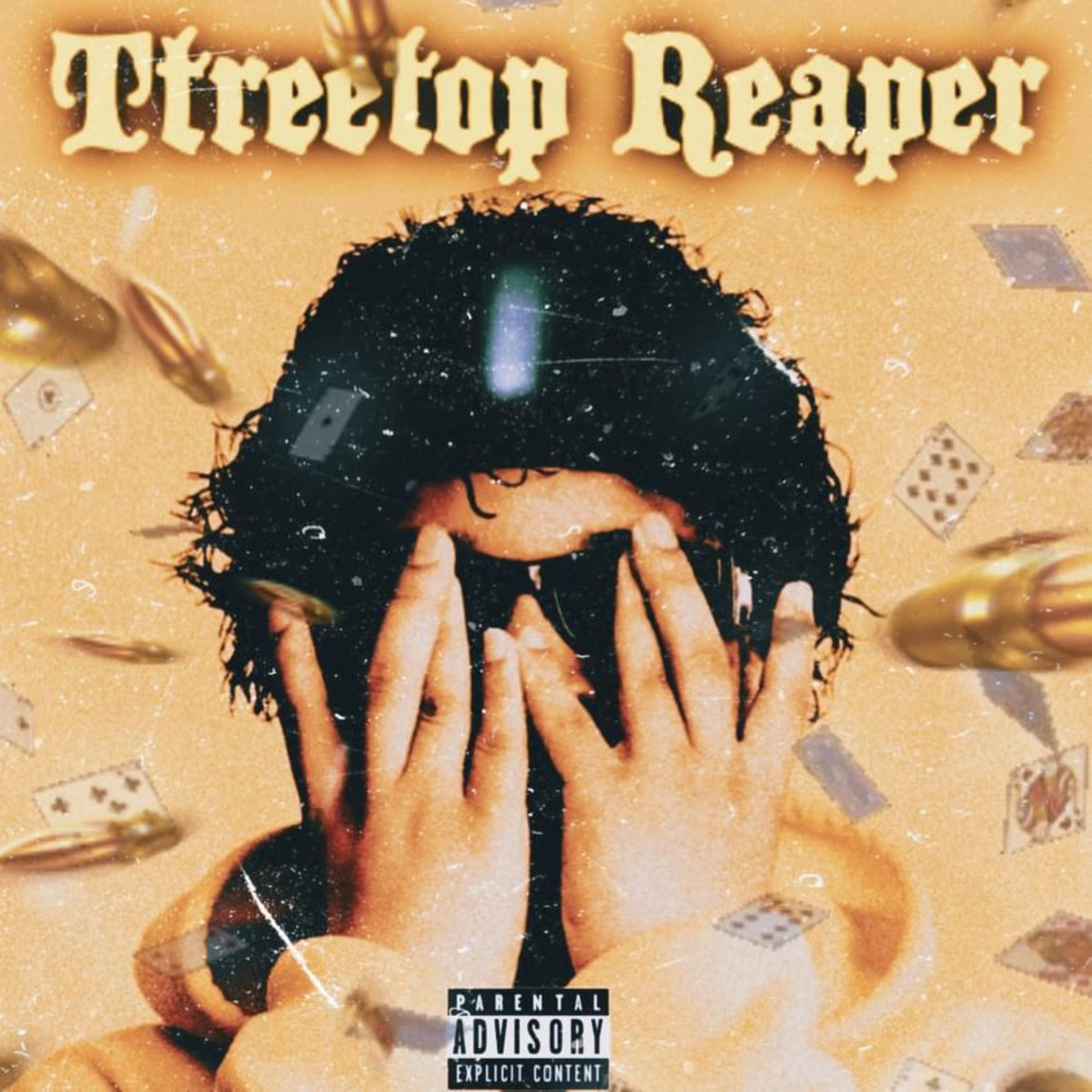TTreeTopReaper artwork