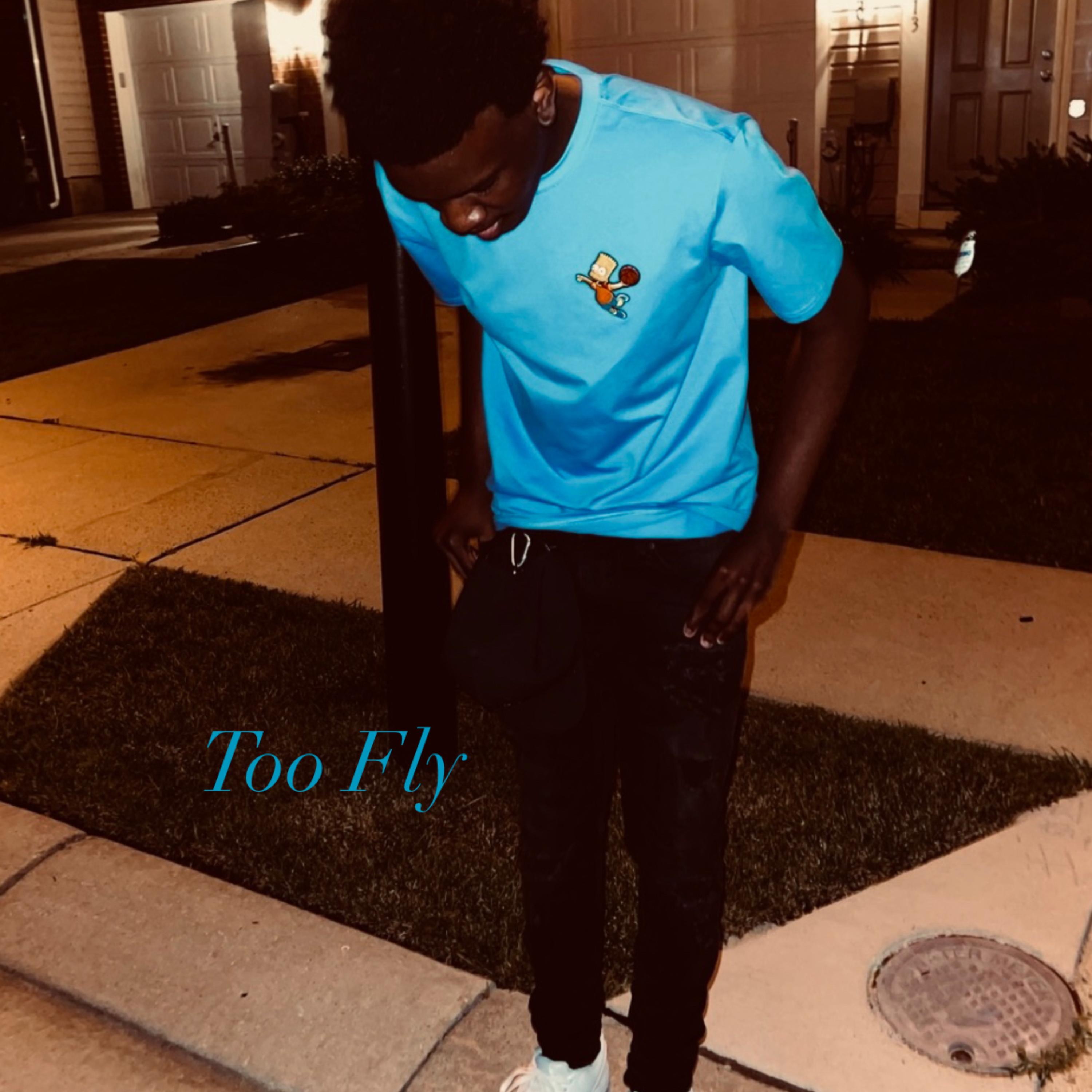 Too Fly artwork