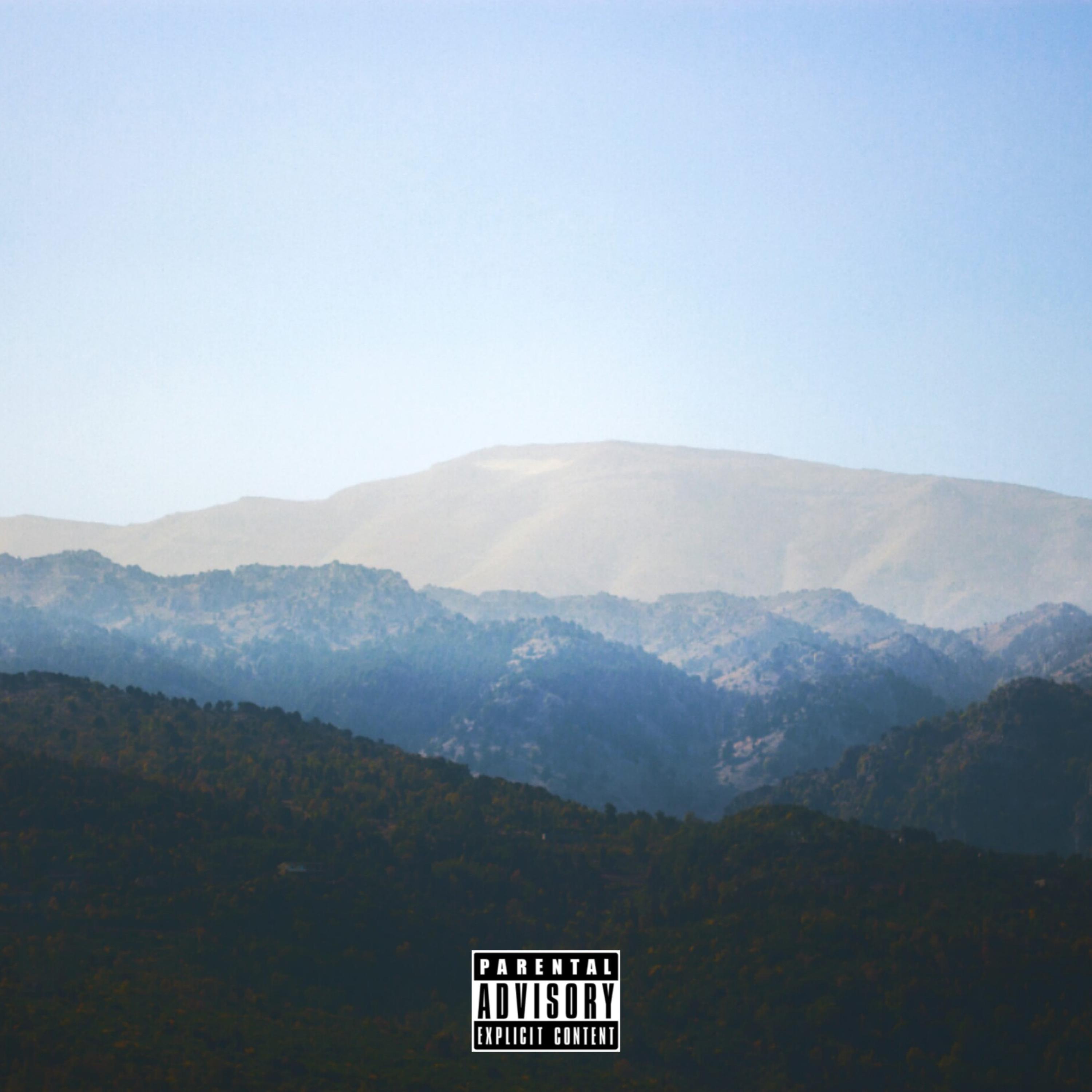 Shoulda Kept artwork
