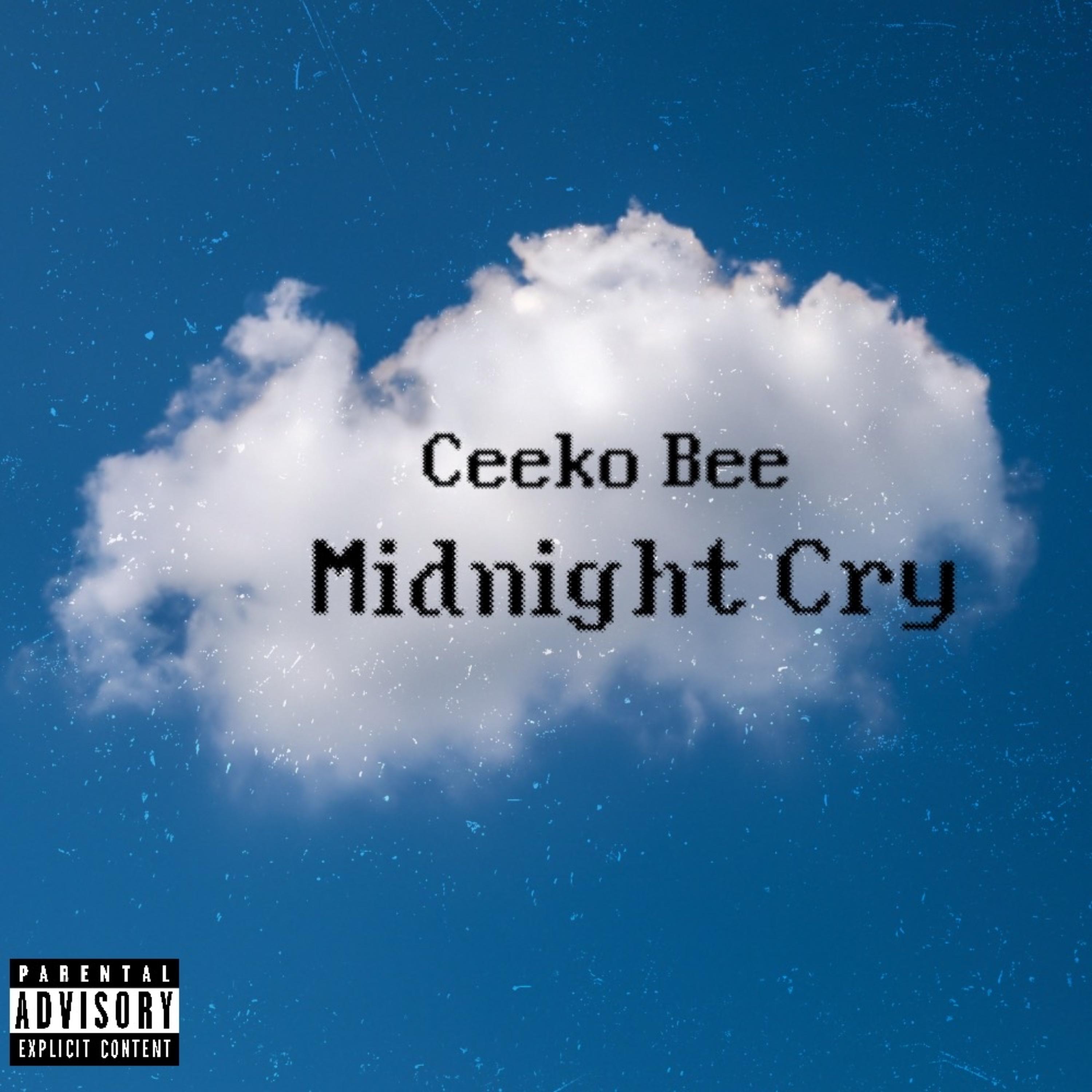 Midnight Cry artwork