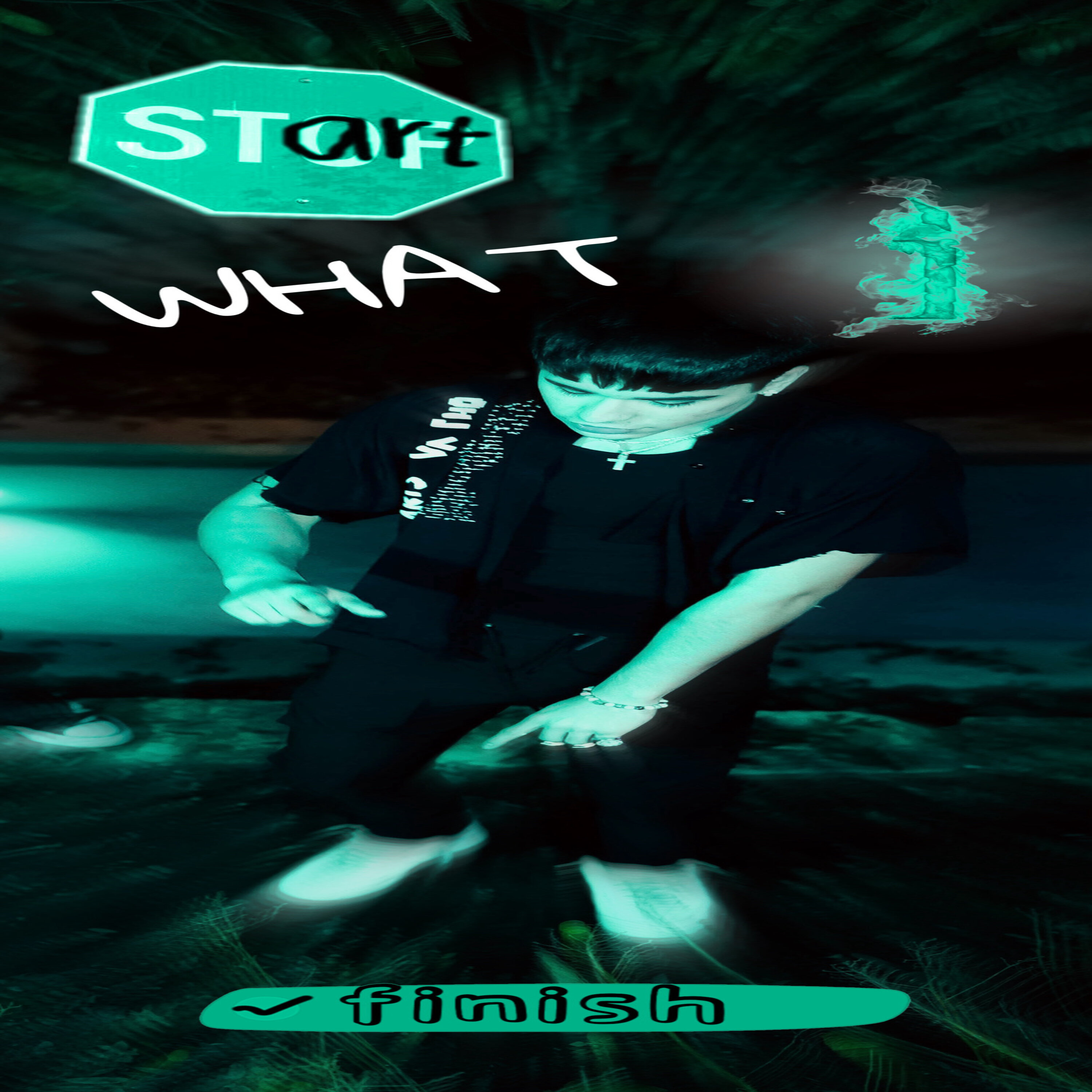 Start What I Finish artwork