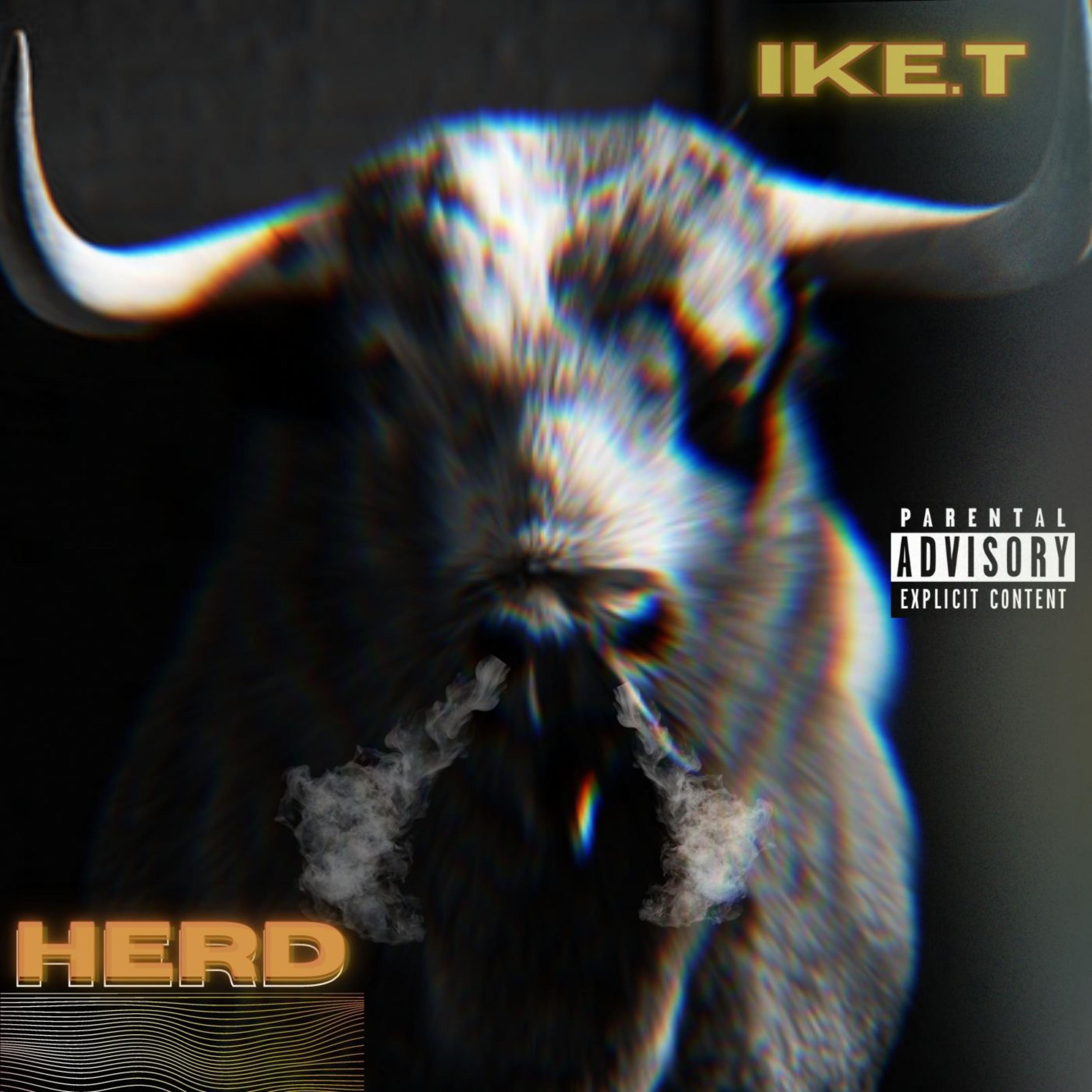 HERD artwork