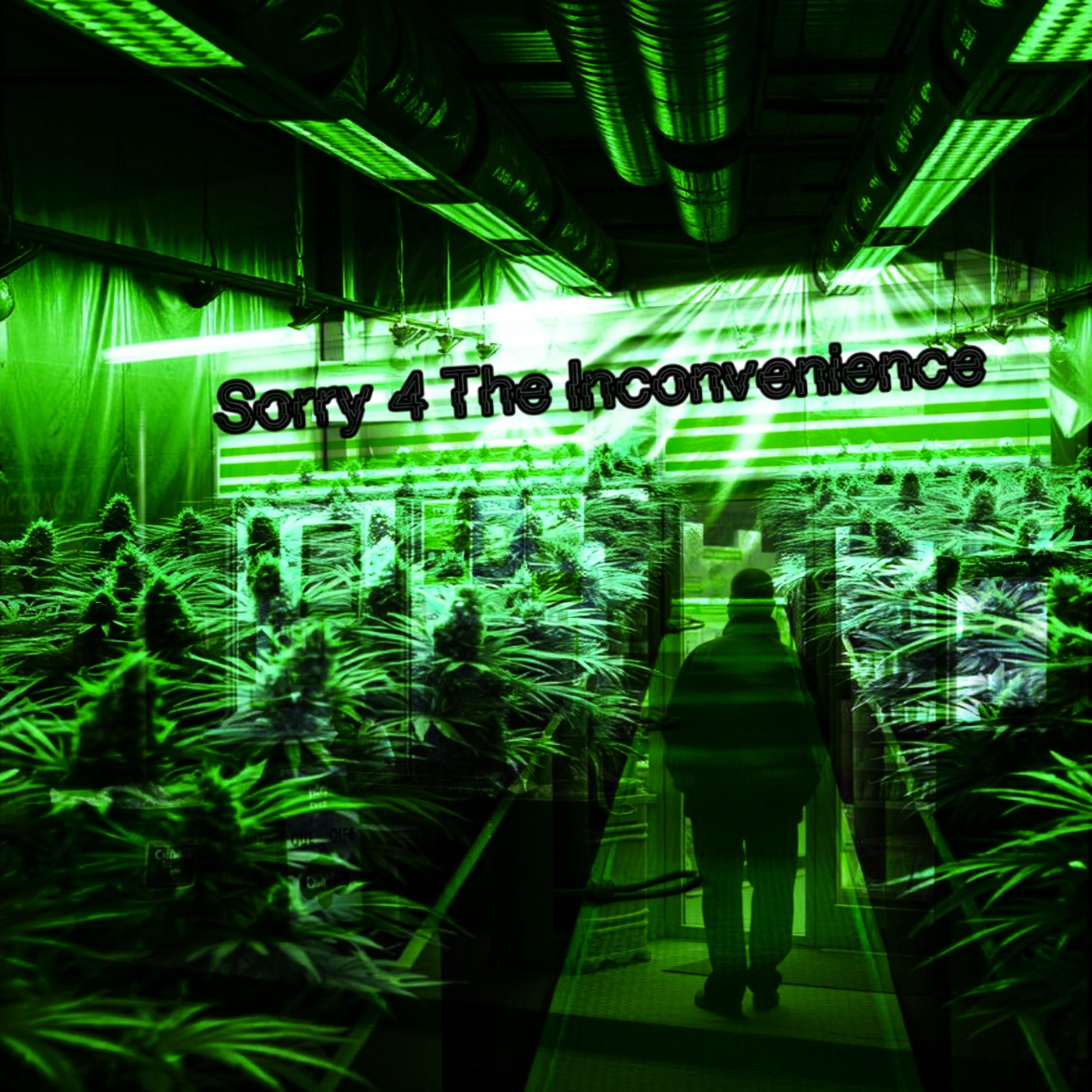 Sorry 4 The Inconvenience artwork