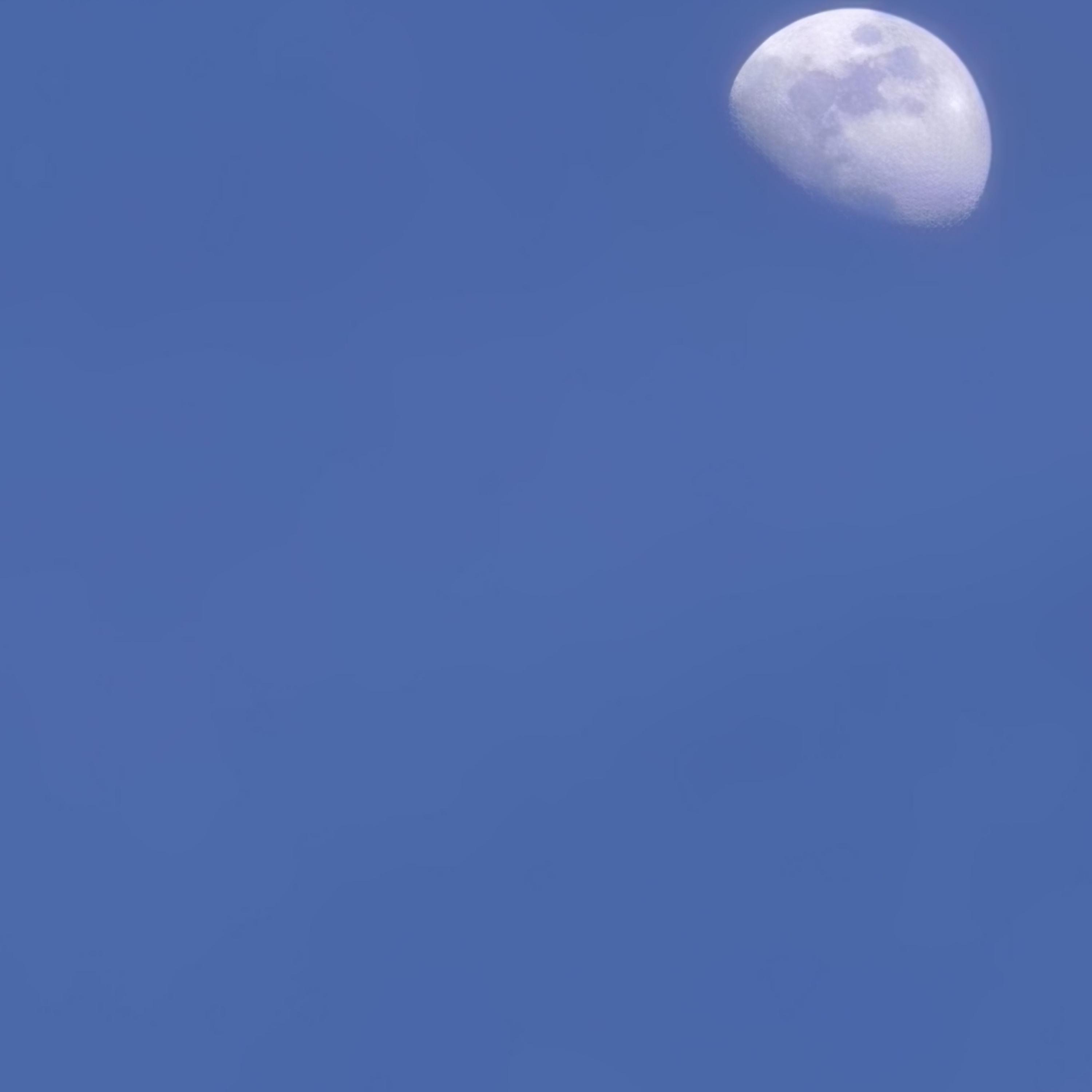 Whisper in the pines artwork