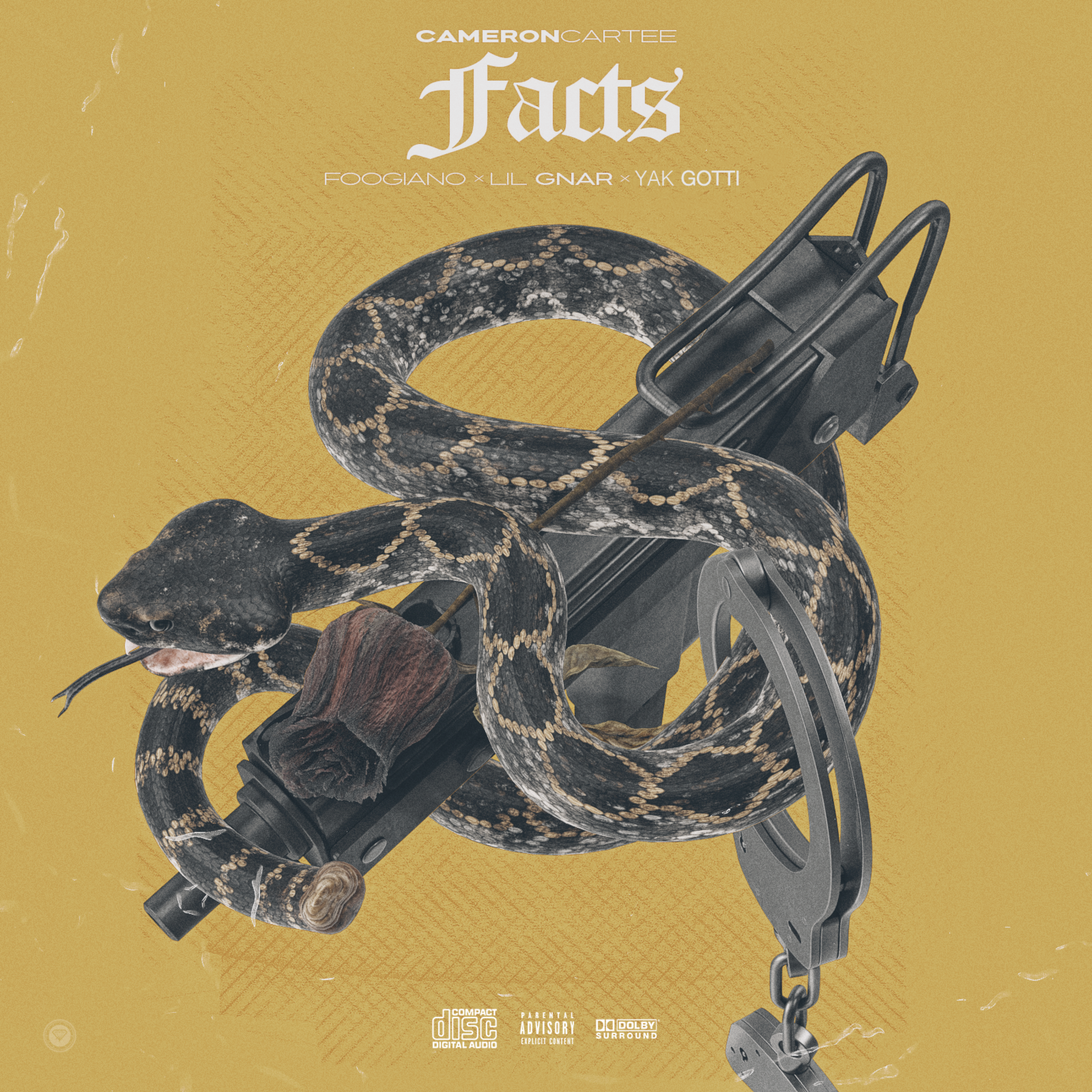 Facts artwork