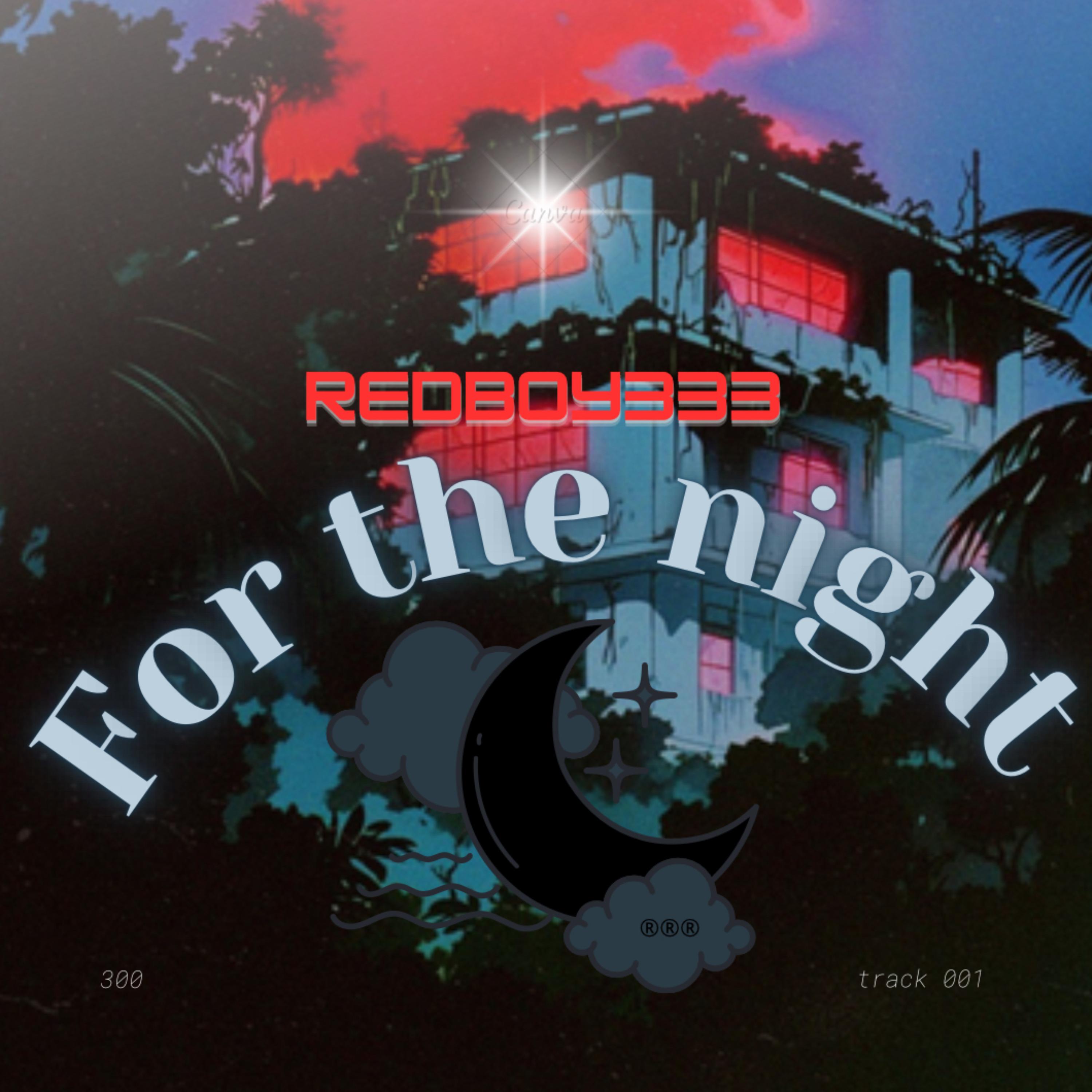 For the night artwork