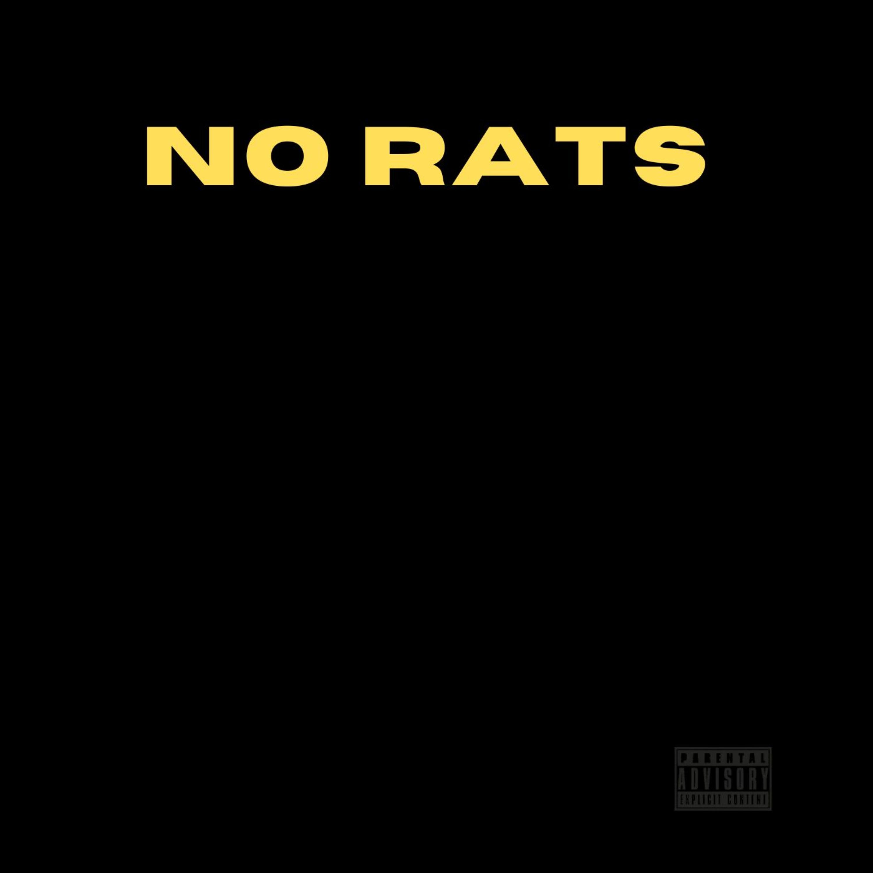 No Rats Freestyle artwork