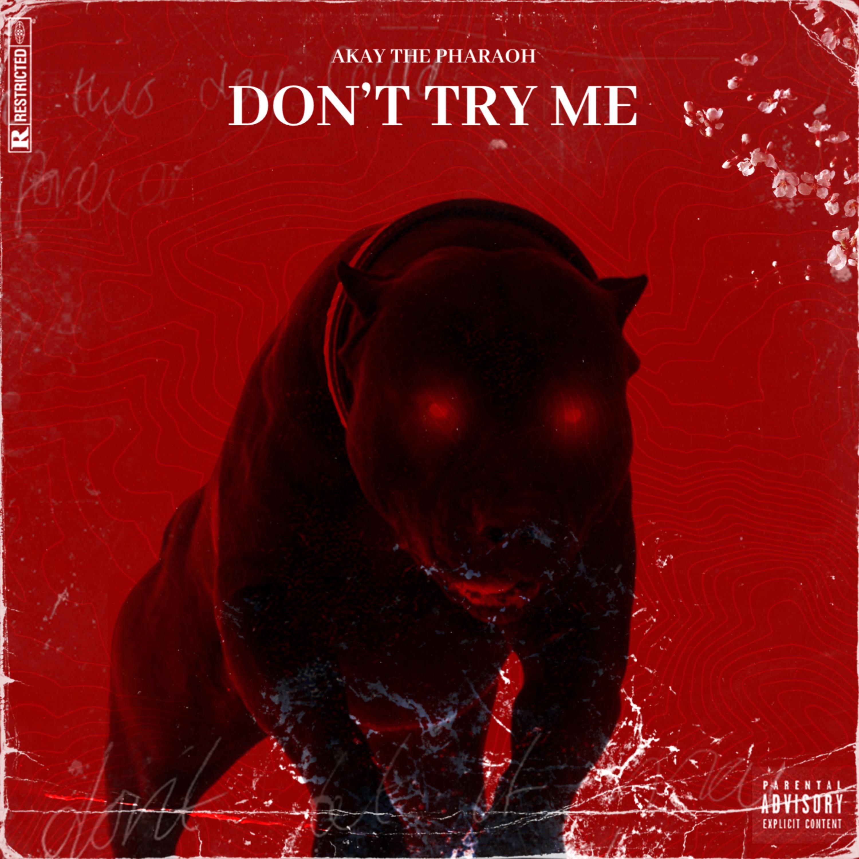 Don't Try Me artwork
