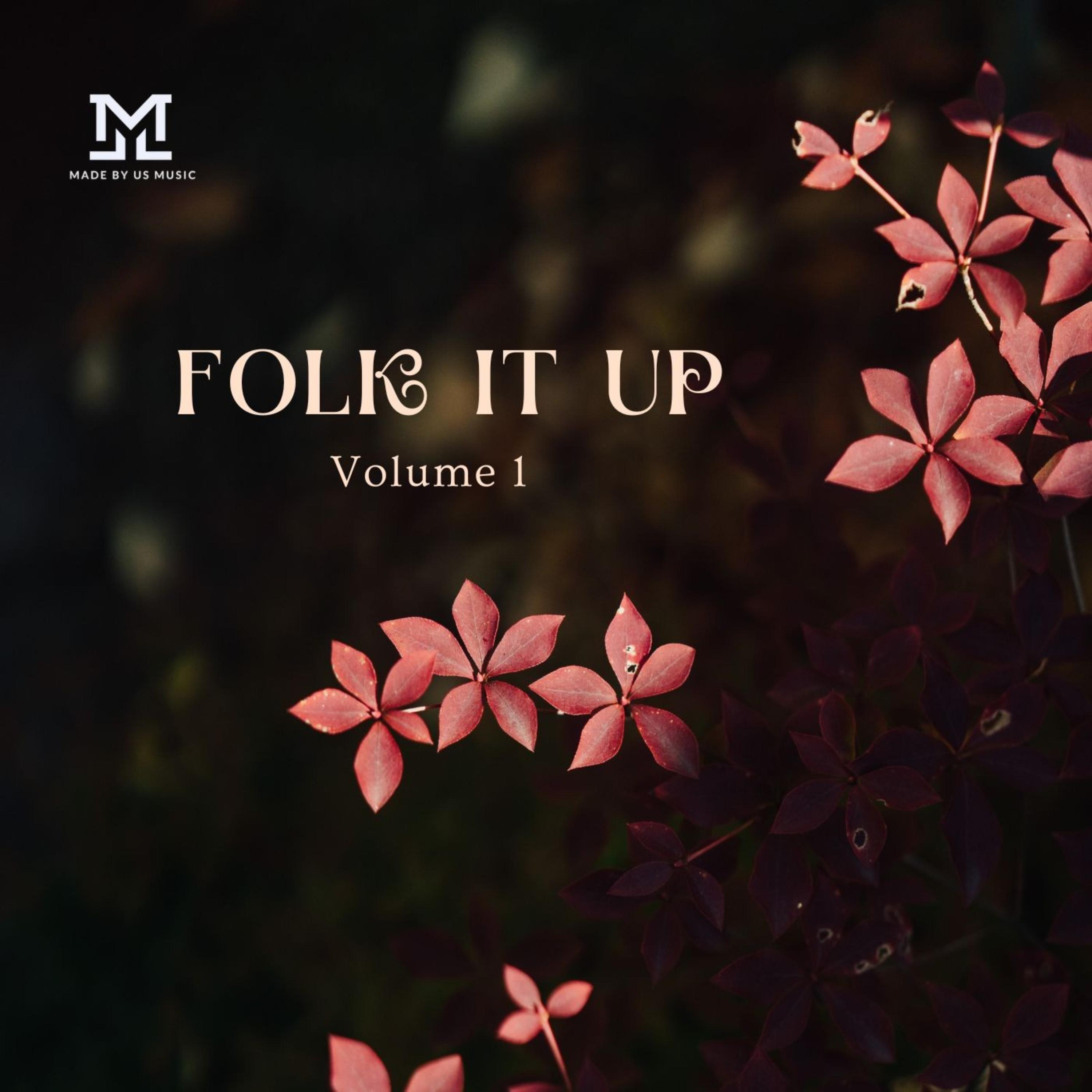 Folk It Up Vol 1 artwork