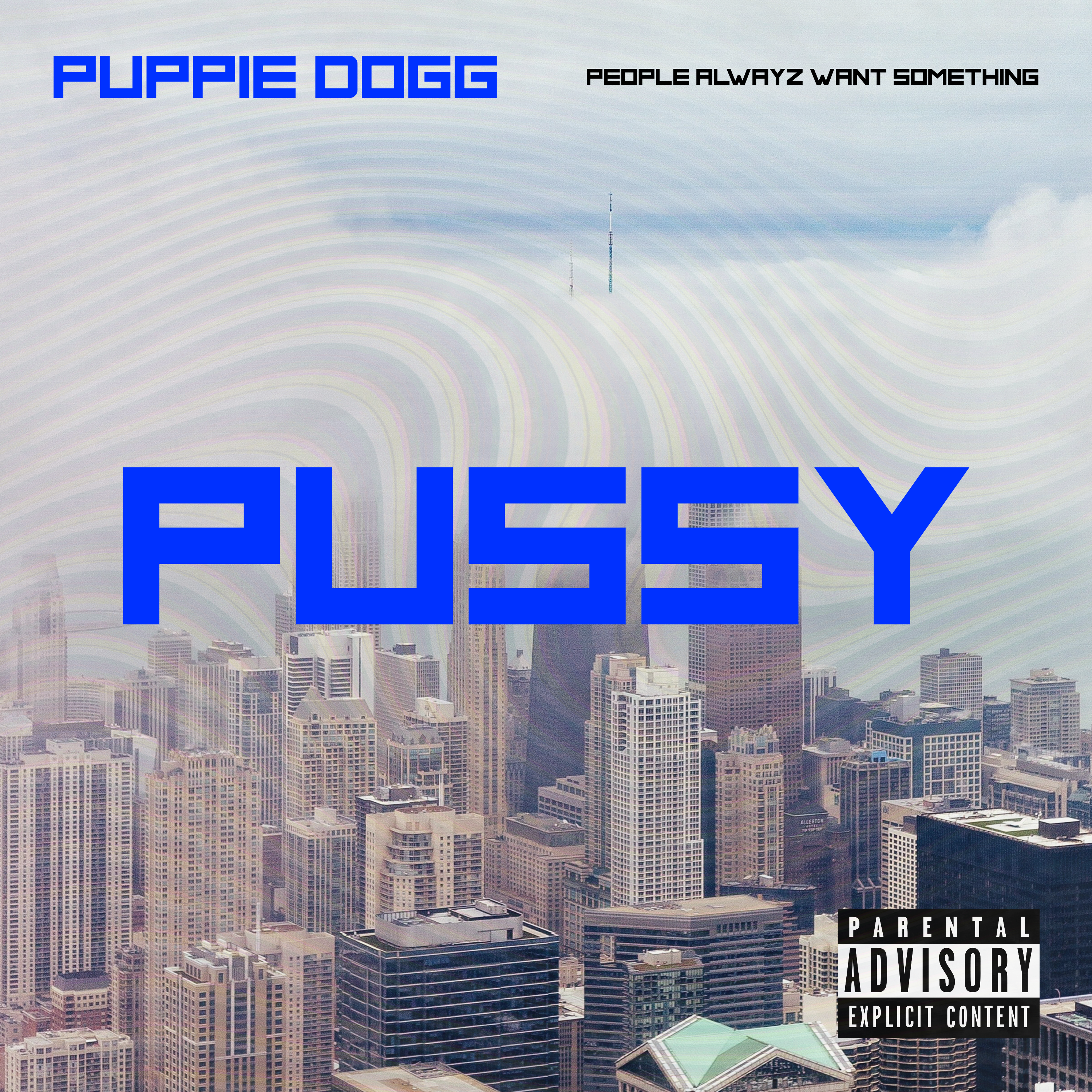 PUSSY artwork