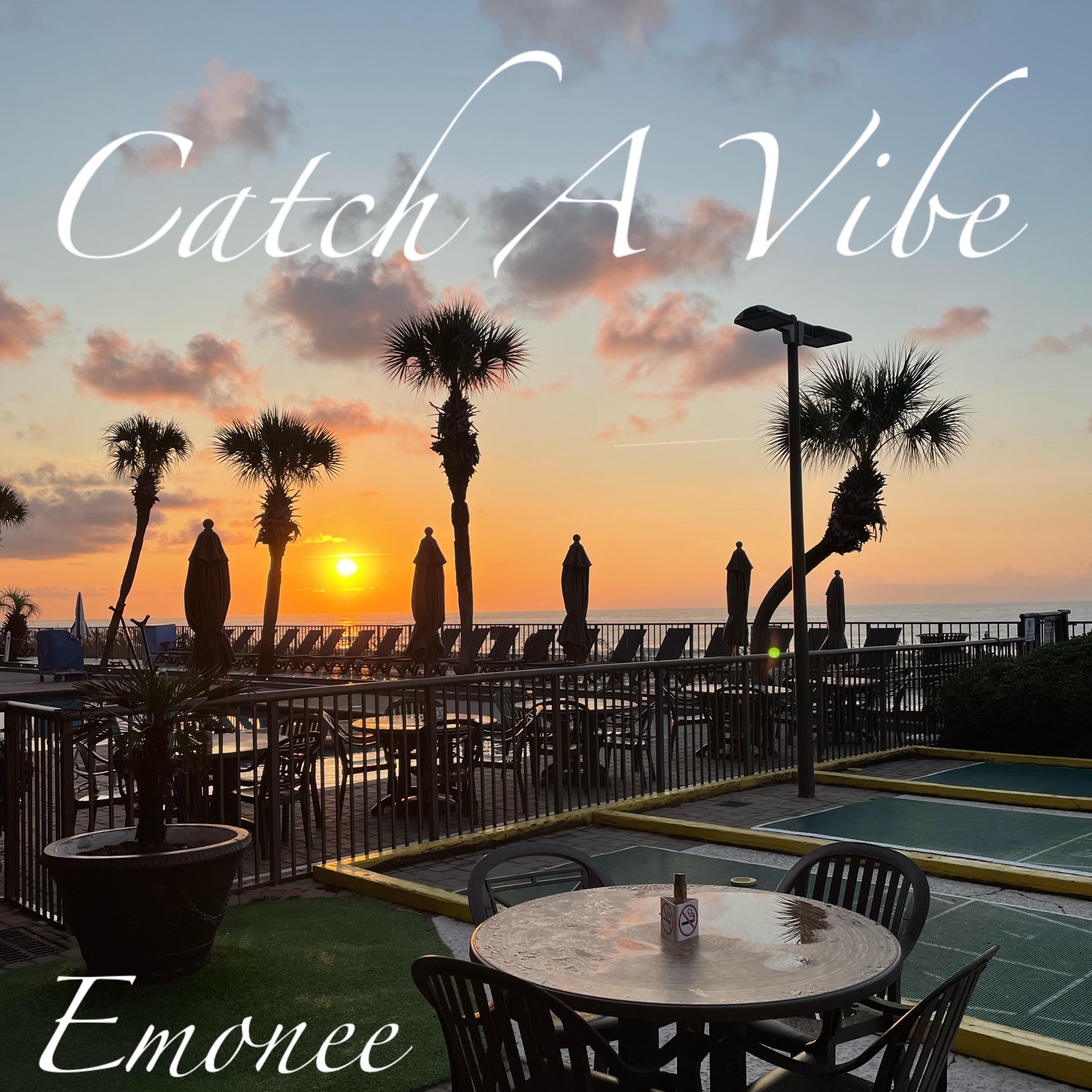 Catch A Vibe artwork